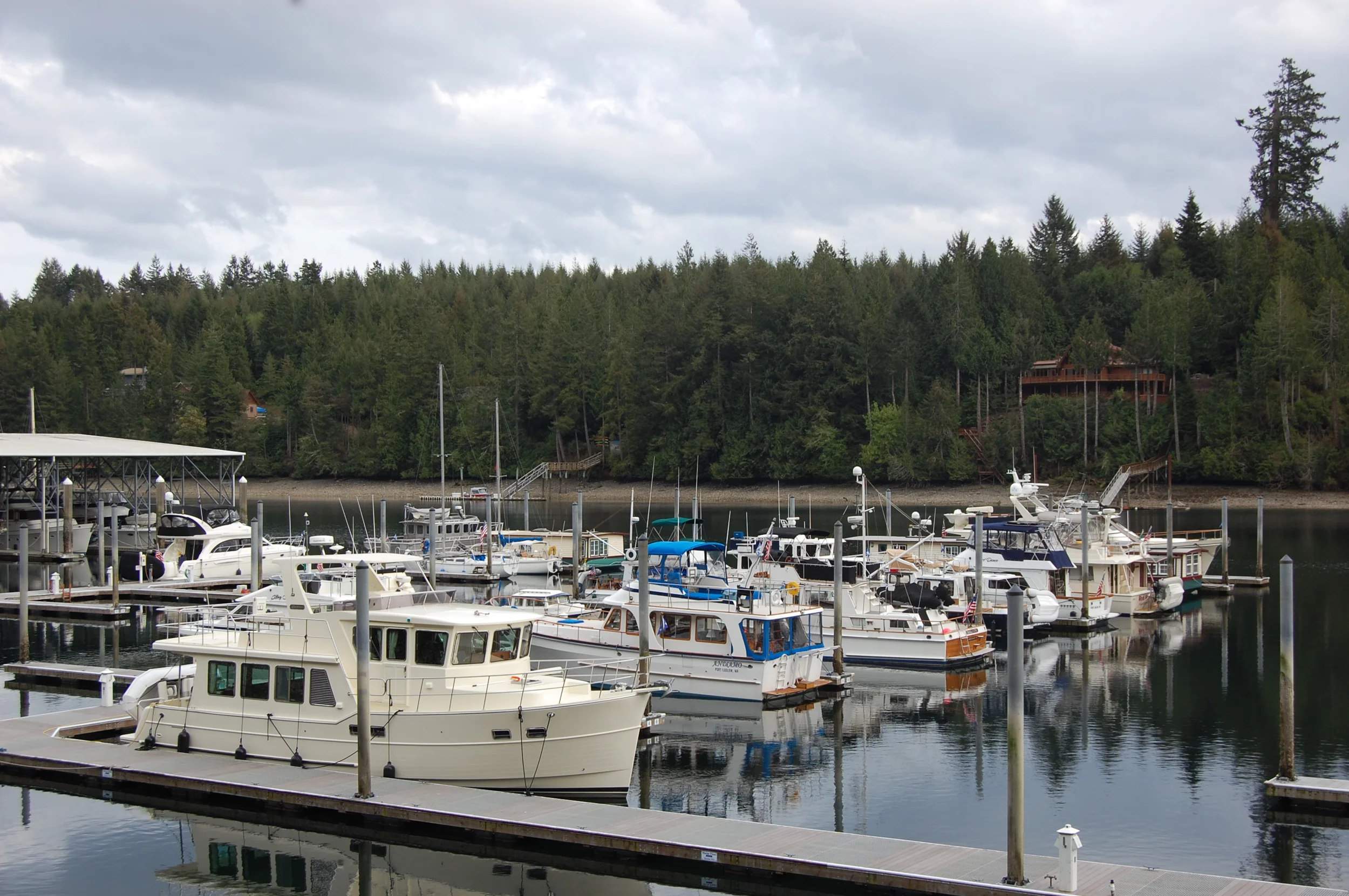 DSC_0111.jpg