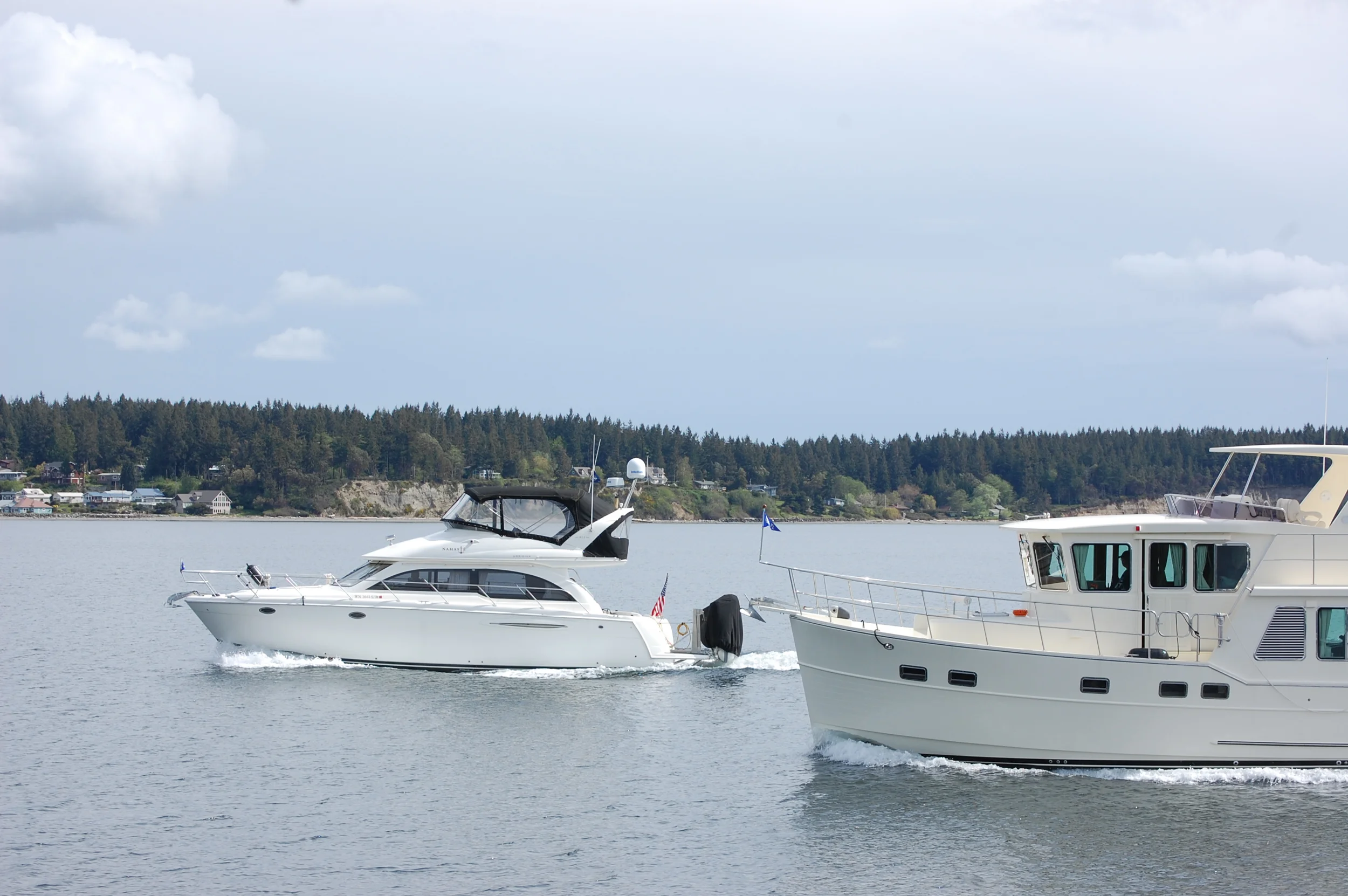 DSC_0154.jpg