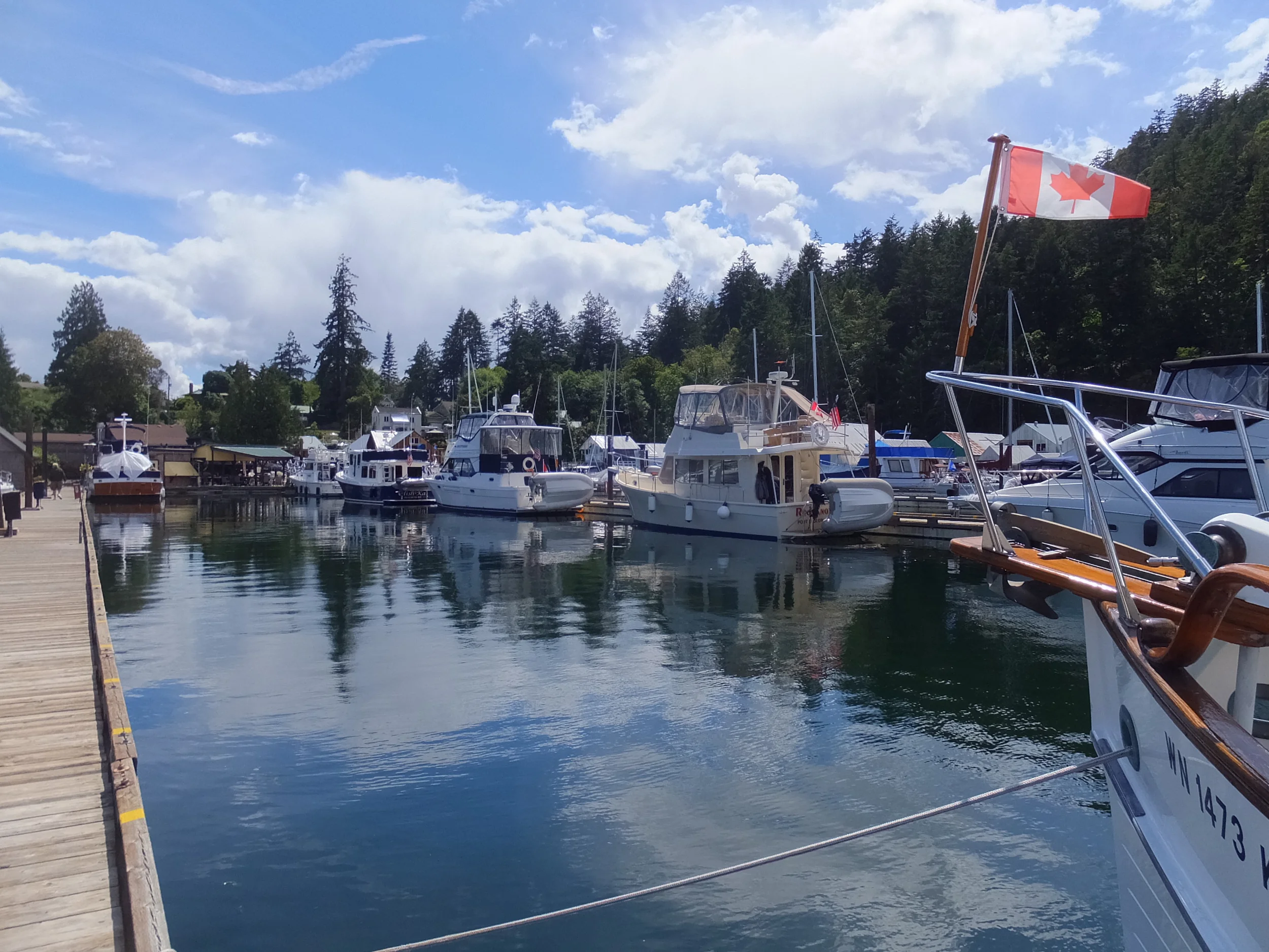 DSCF2516.jpg