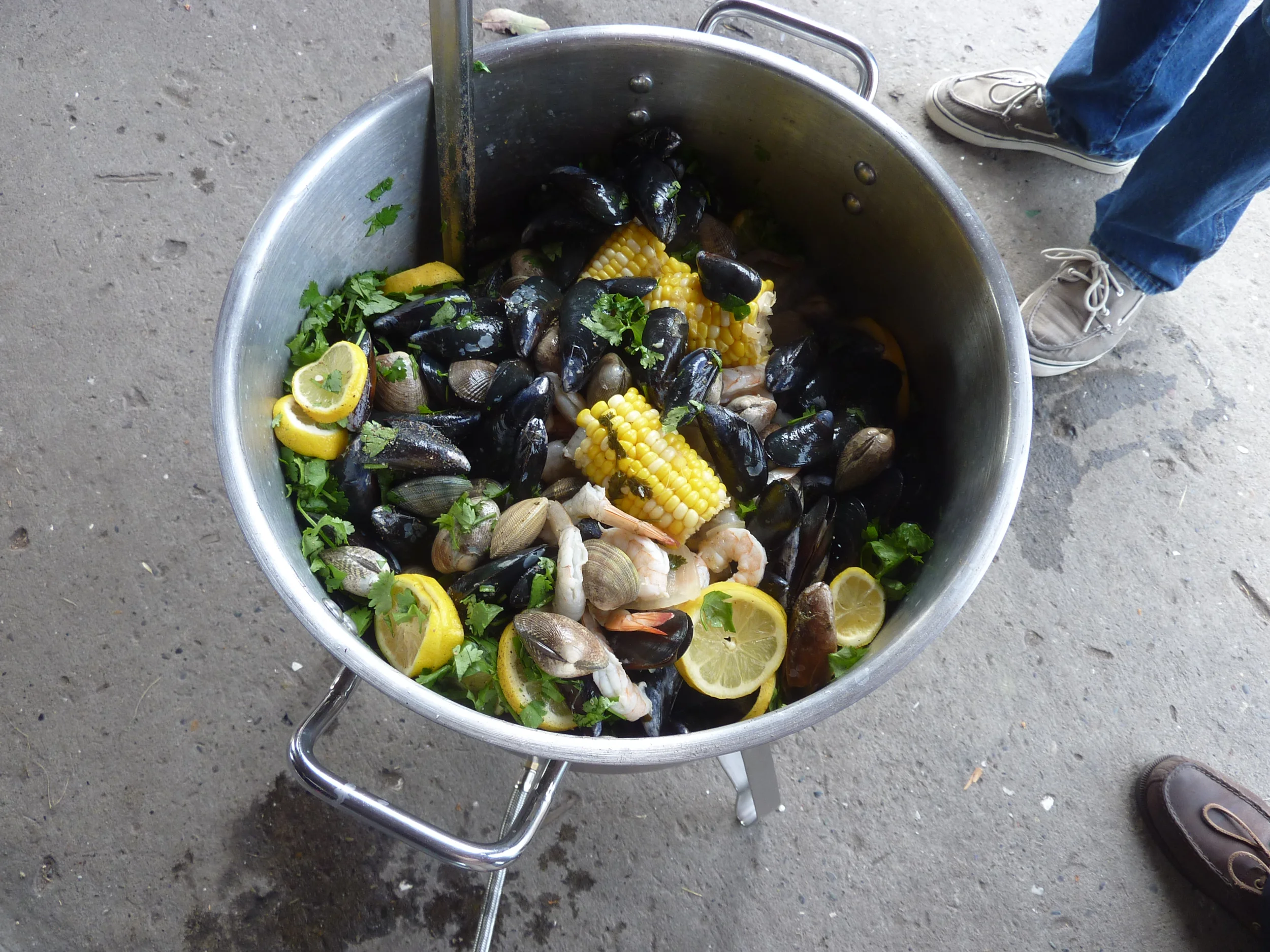 P1030464-2.jpg