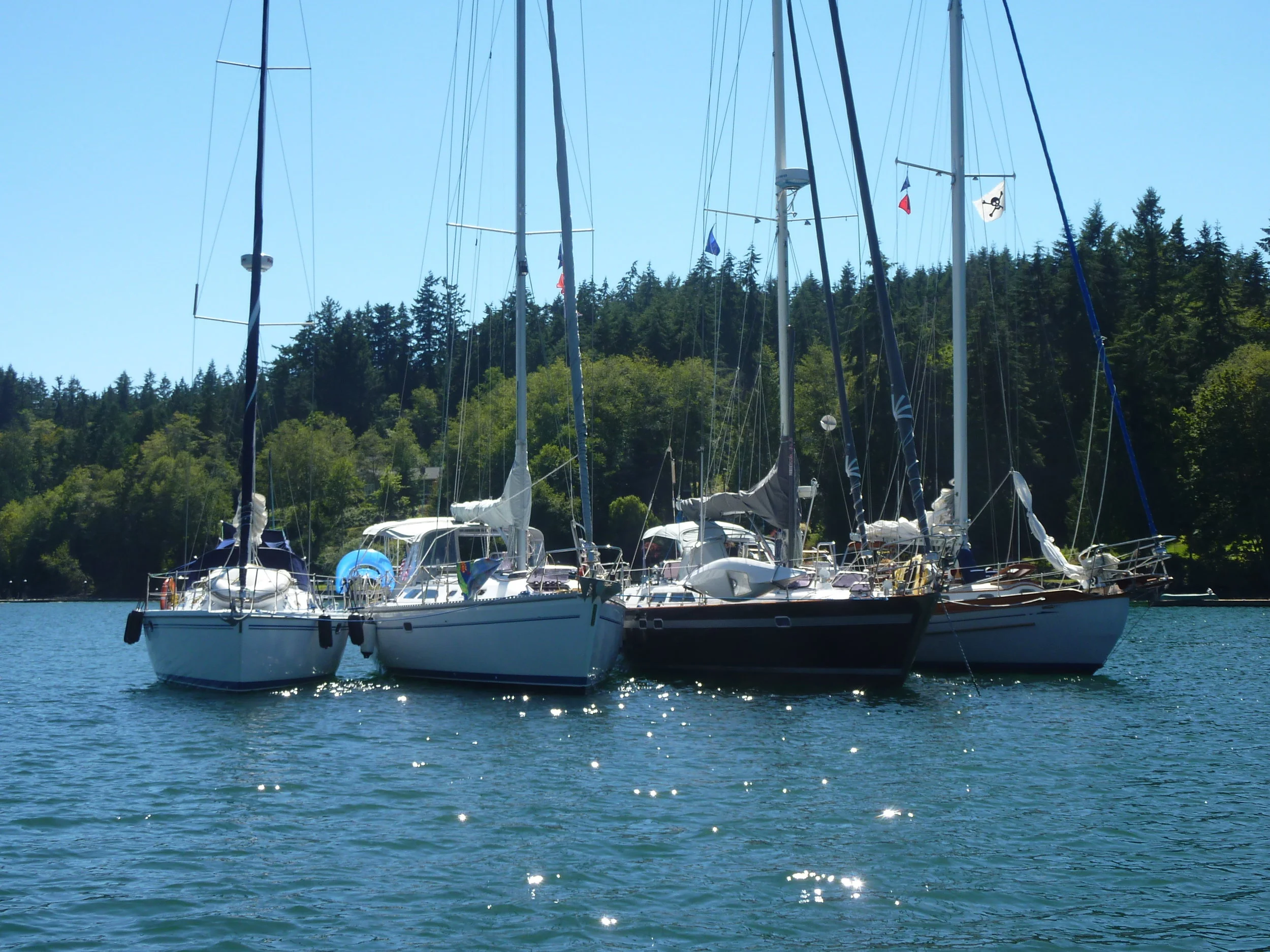 P1030572-2.JPG