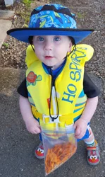 FutureCommodore.jpg