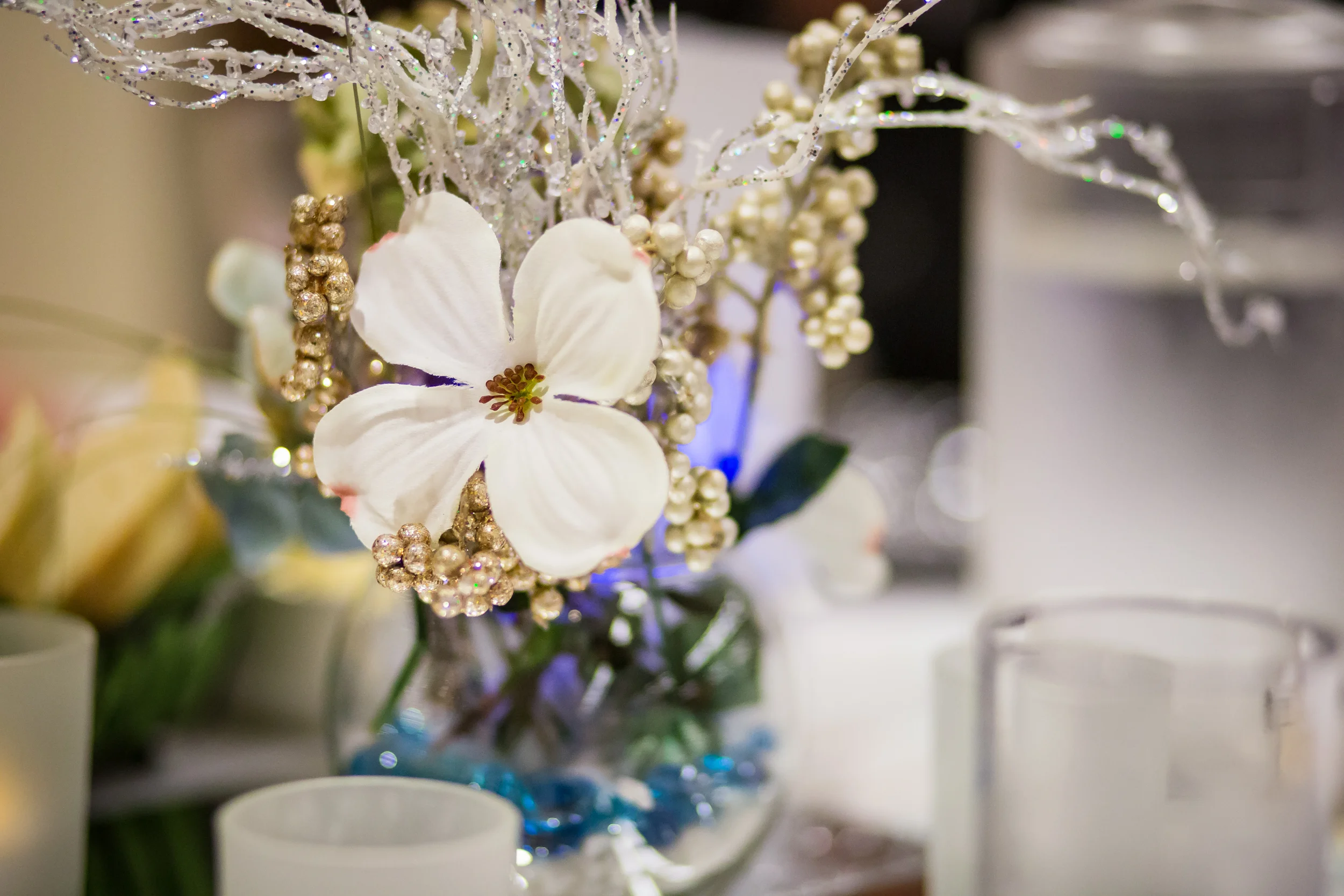 CMPhoto_PortLudlowYC-212.jpg