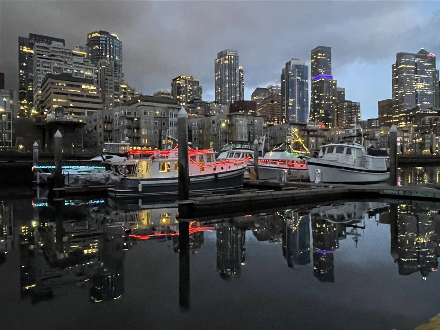 IMG_5599 (Large).JPG