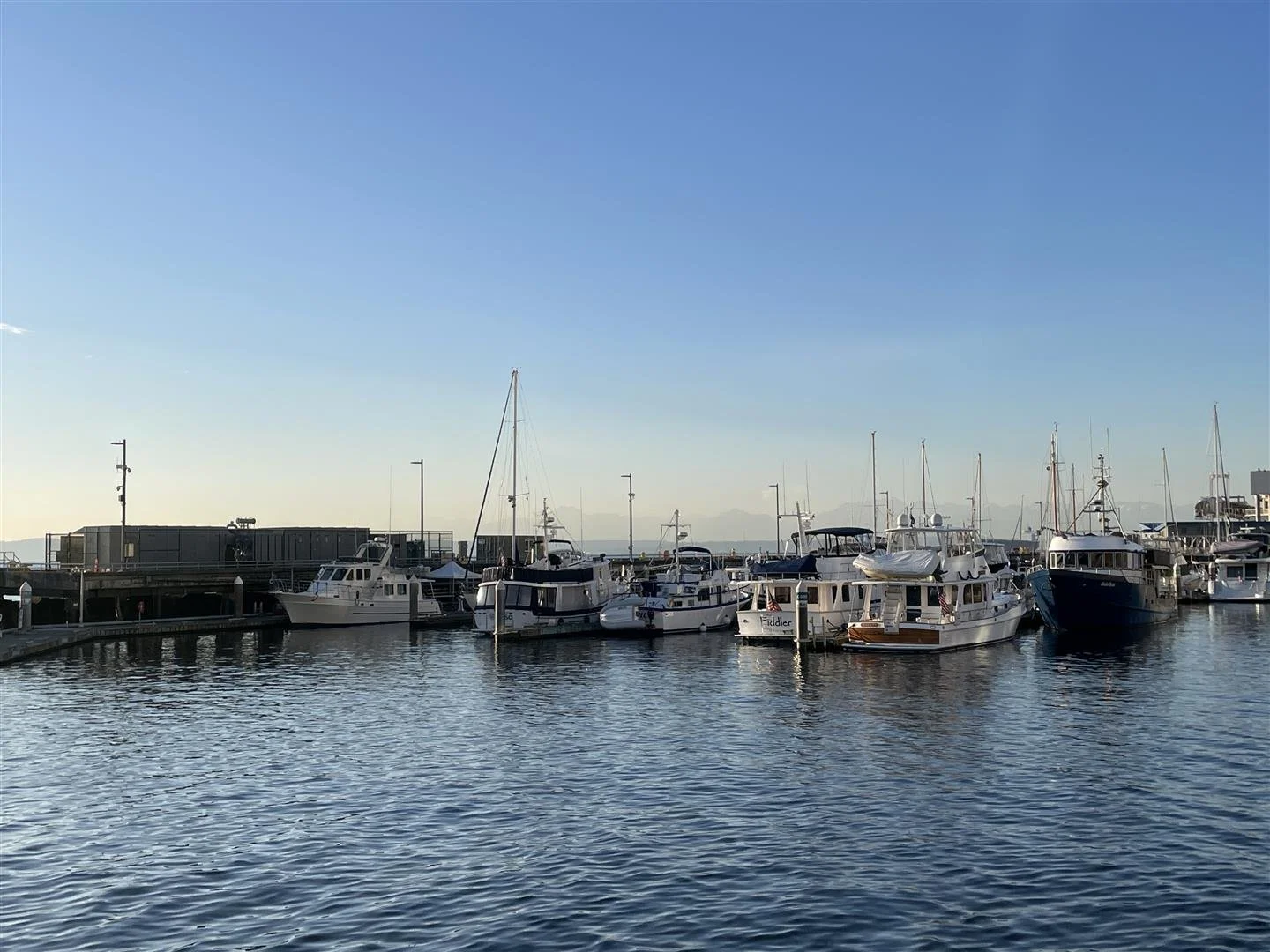 IMG_5651 (Large).JPG