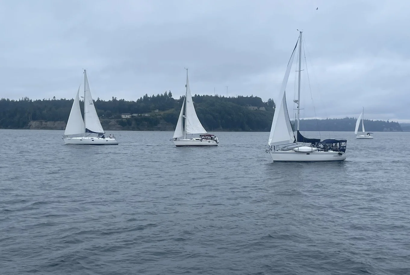 Sailors Race 2025.jpg