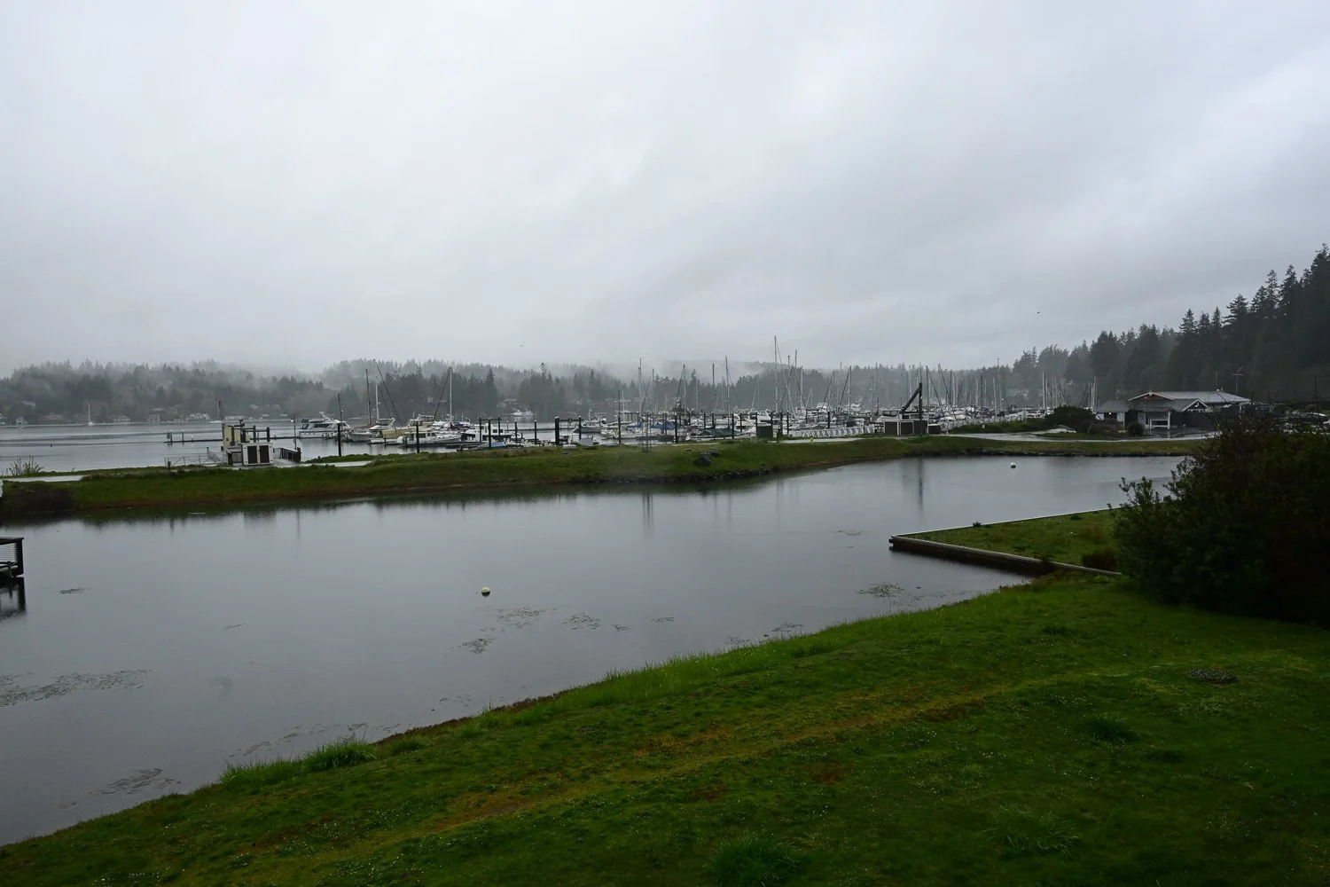 20260401-Wednesdays-001.jpg