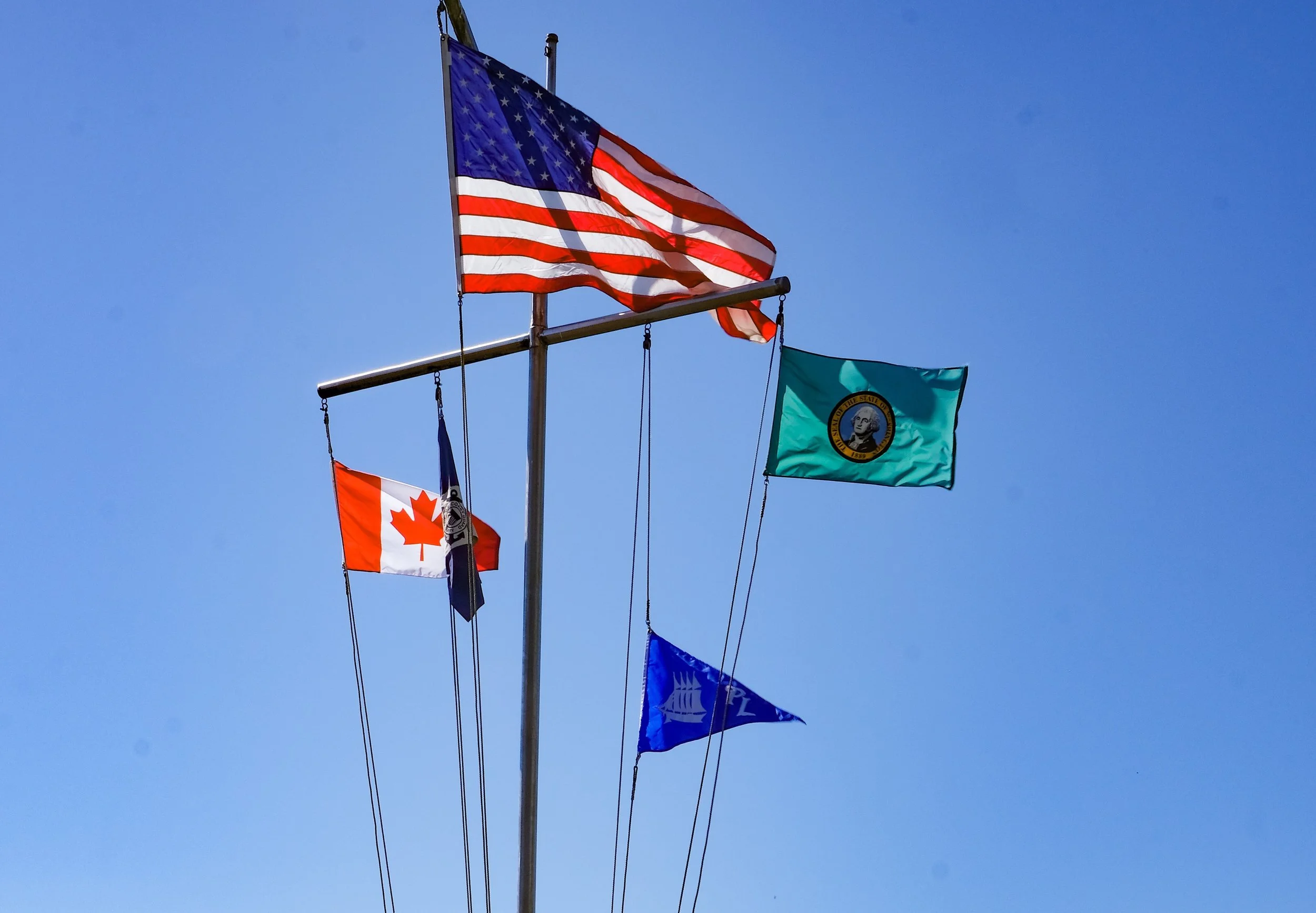 Opening Day Flags.jpg