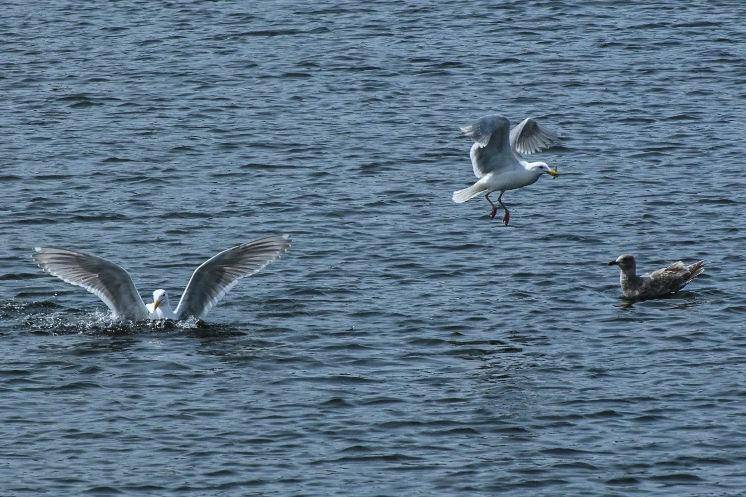 20260509-Opening Day-138.jpg