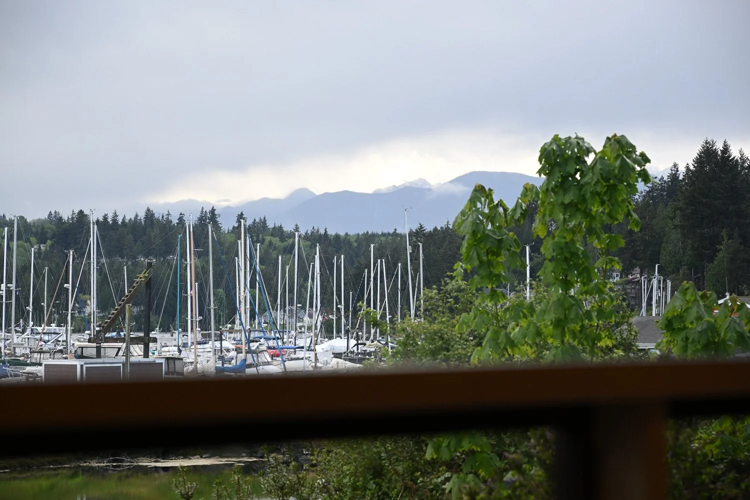 20260516-Mid-May-014.jpg