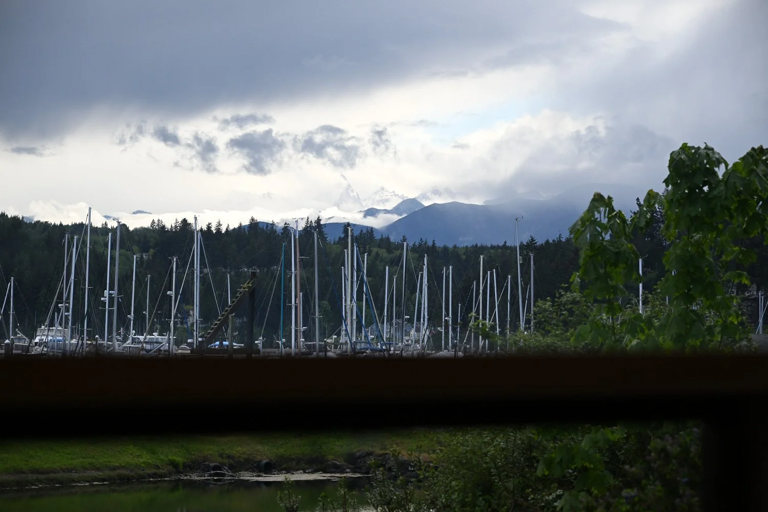 20260516-Mid-May-017.jpg