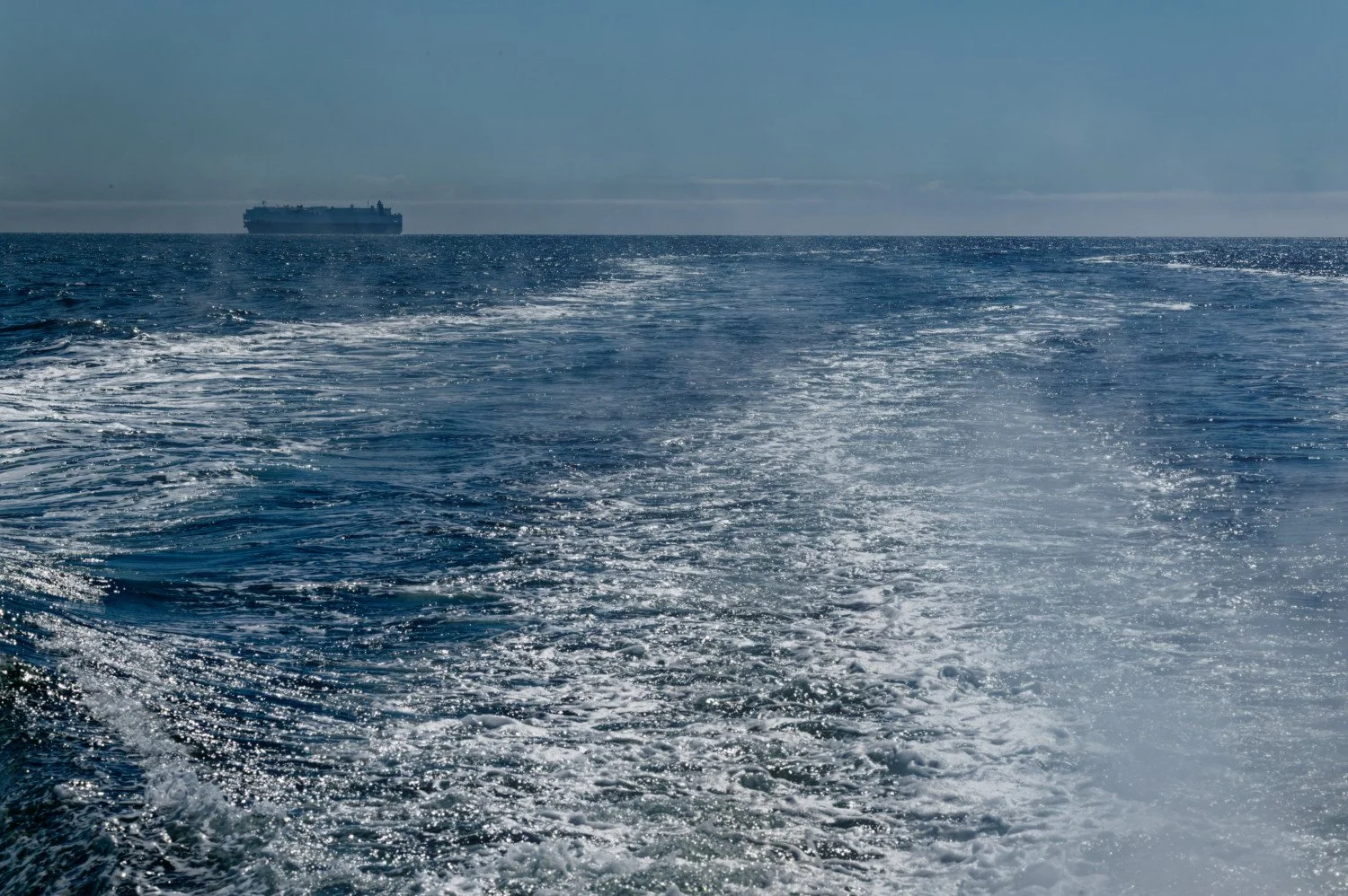 20260811-Women Watching Whales-006.jpg
