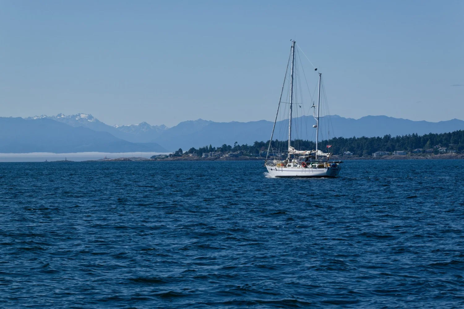 20260811-Women Watching Whales-007.jpg