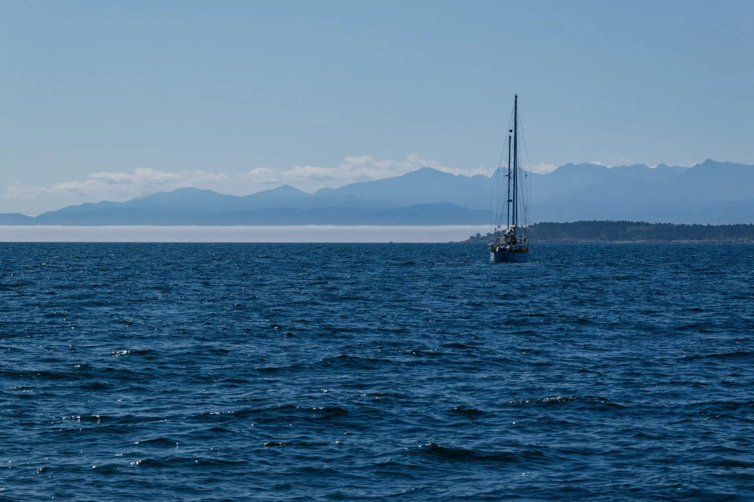20260811-Women Watching Whales-008.jpg