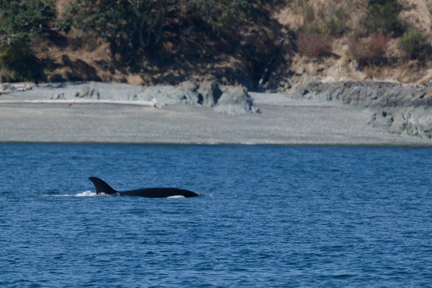 20260811-Women Watching Whales-015.jpg