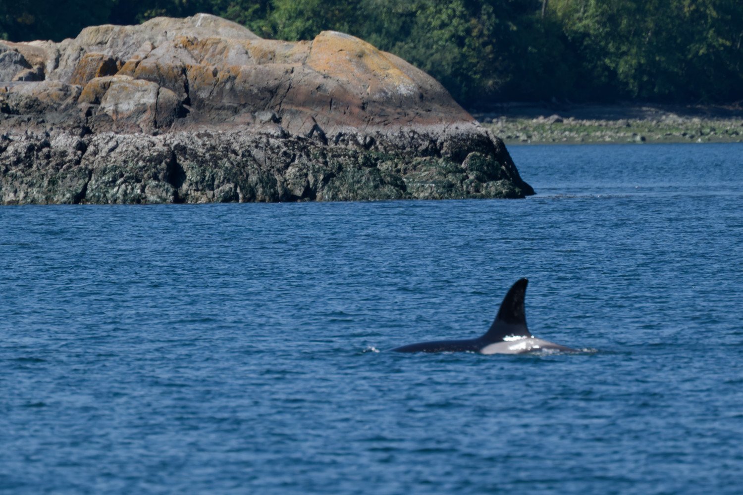 20260811-Women Watching Whales-022.jpg
