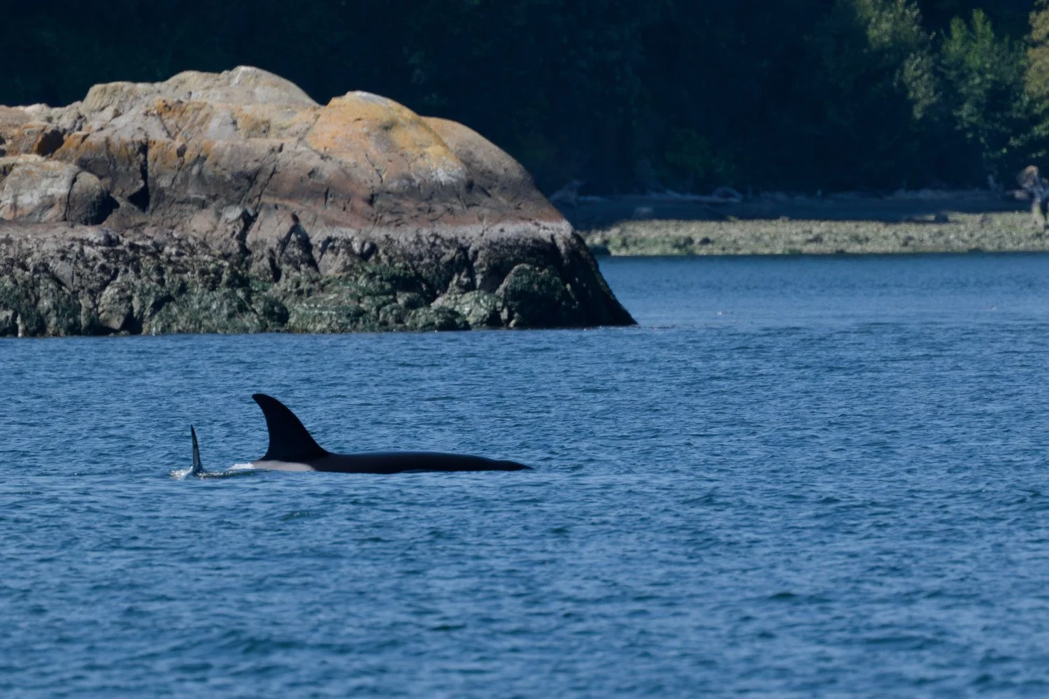 20260811-Women Watching Whales-024.jpg