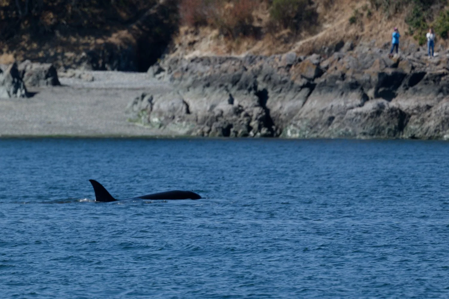 20260811-Women Watching Whales-027.jpg