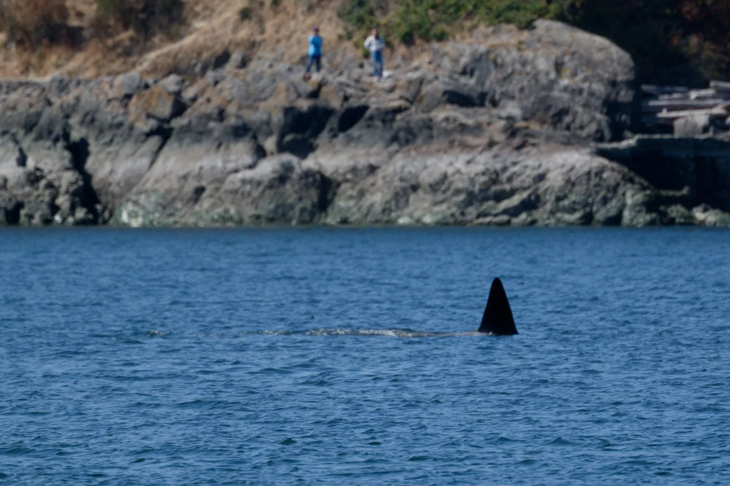 20260811-Women Watching Whales-028.jpg