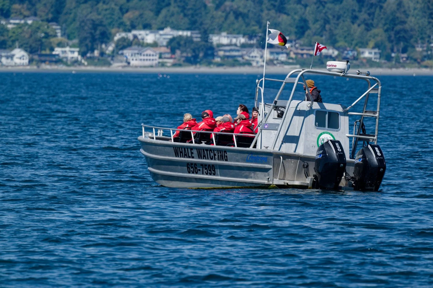 20260811-Women Watching Whales-031.jpg