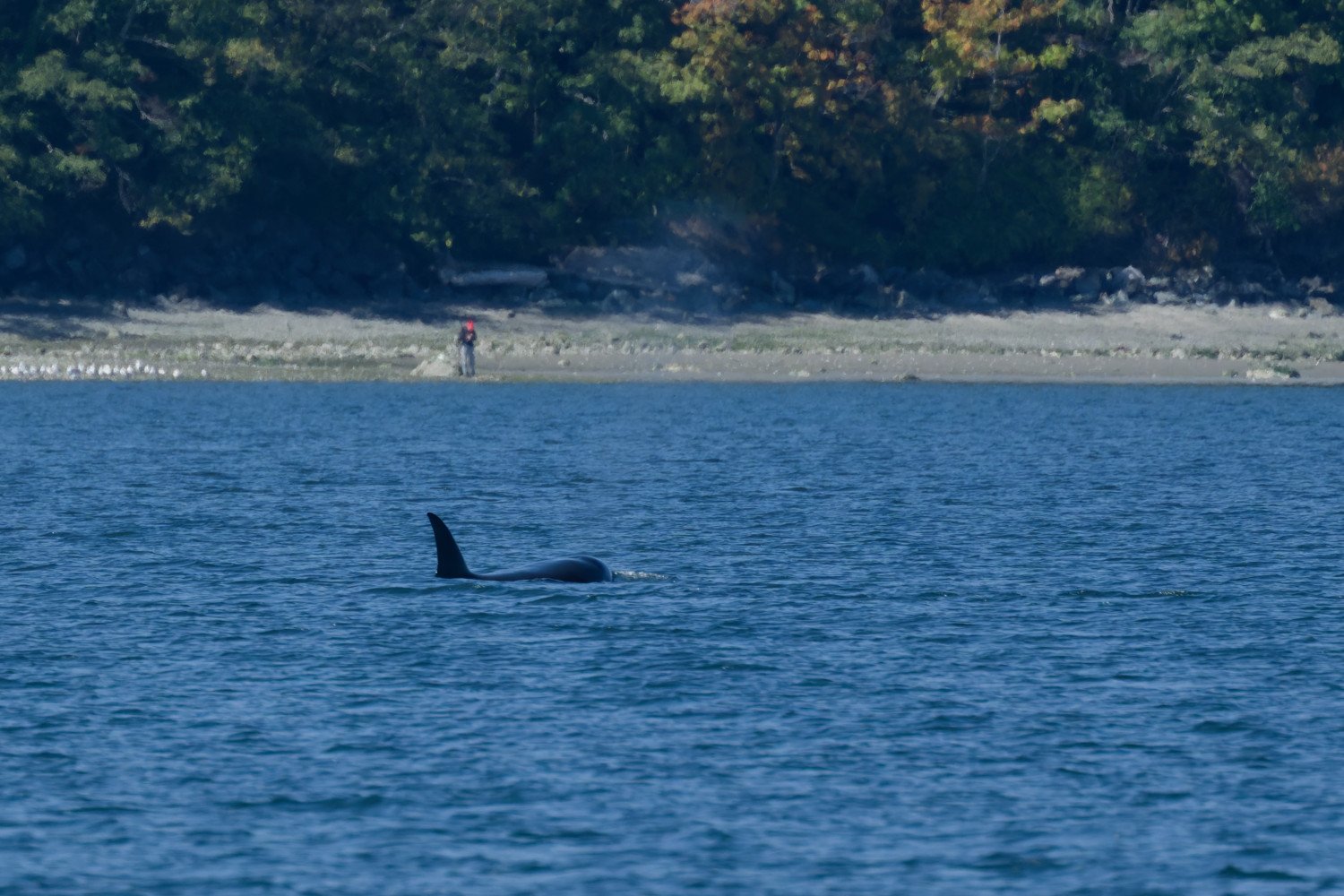 20260811-Women Watching Whales-035.jpg