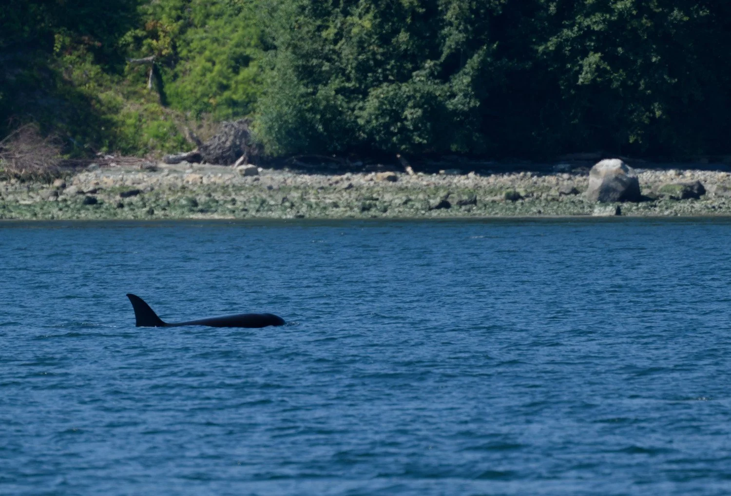 20260811-Women Watching Whales-038.jpg