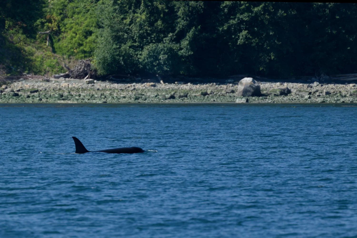 20260811-Women Watching Whales-039.jpg