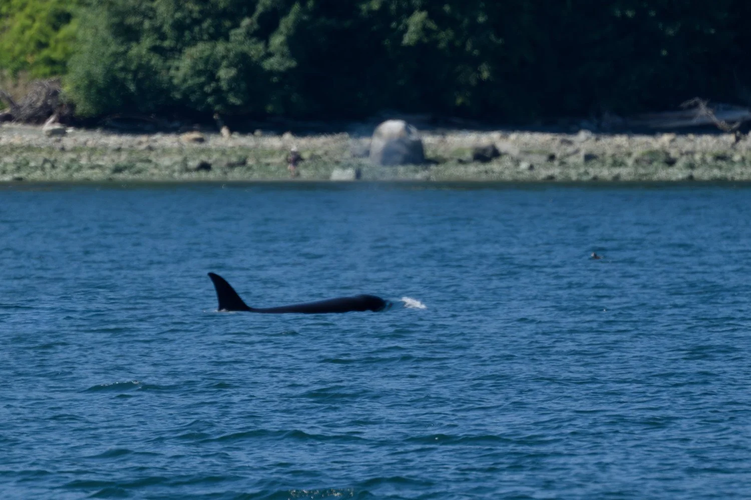 20260811-Women Watching Whales-041.jpg