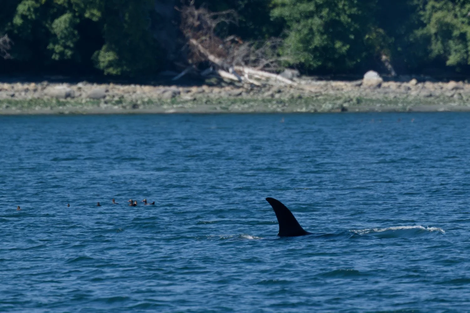 20260811-Women Watching Whales-043.jpg