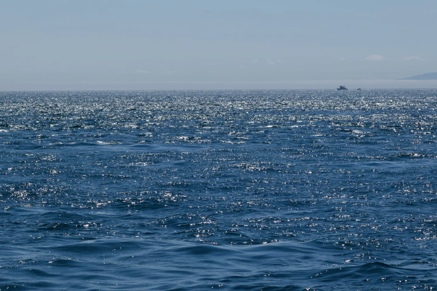 20260811-Women Watching Whales-046.jpg