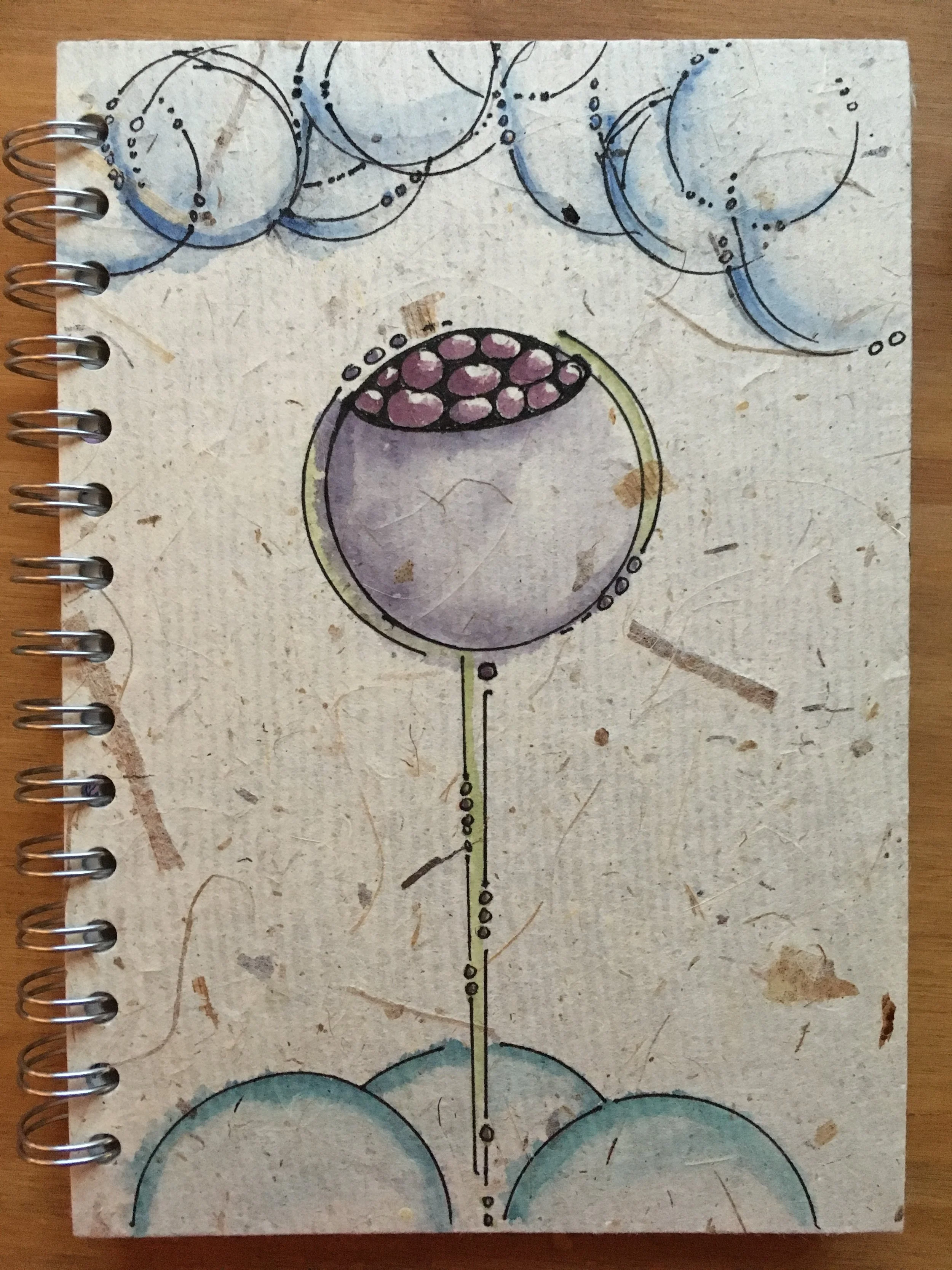 Sketchbook Cover seedpod