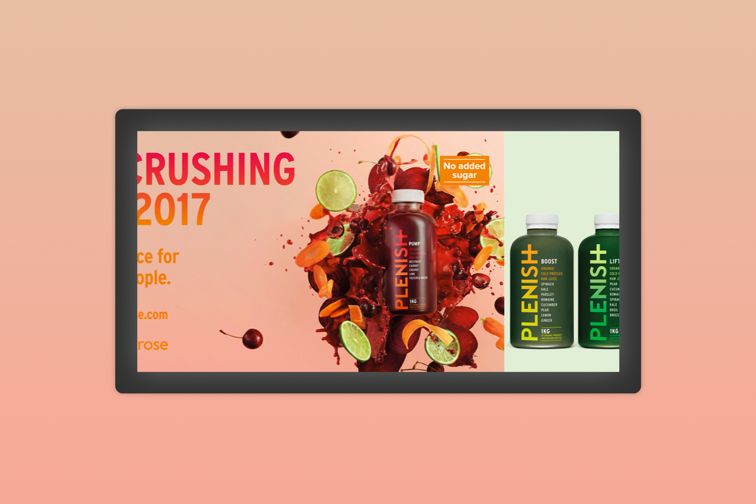 Plenish Cleanse Transvision Image 5.png