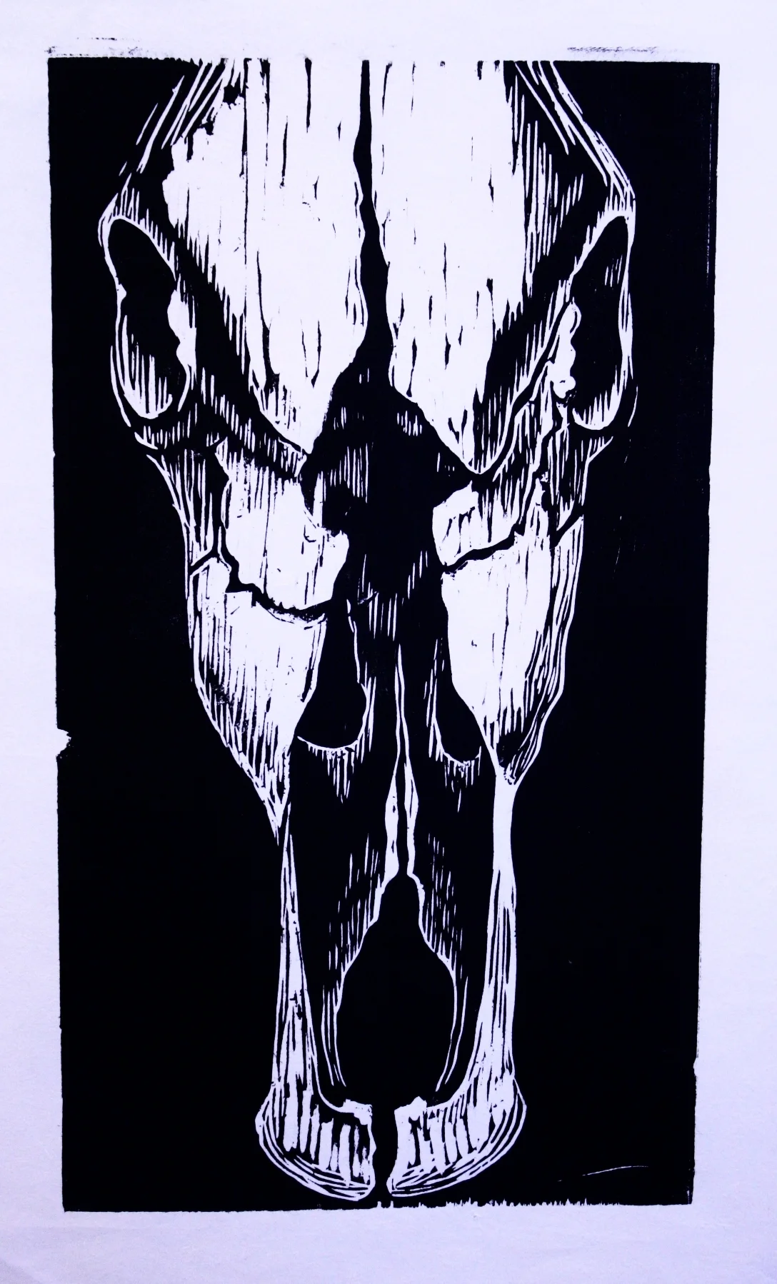 Skull - Image size 20.5" x 29"
