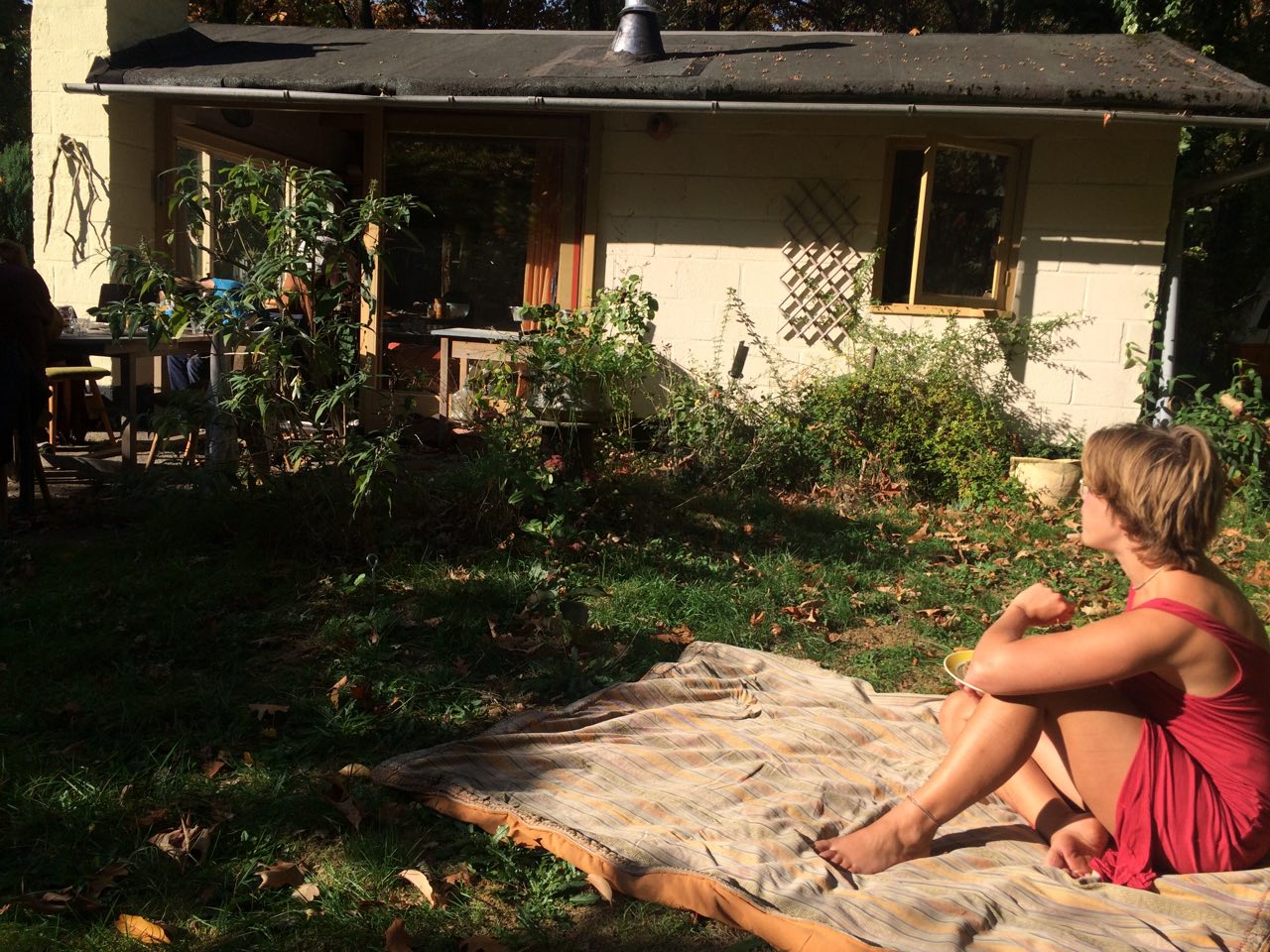 [Blog] Naar het bos om te denken over de stad