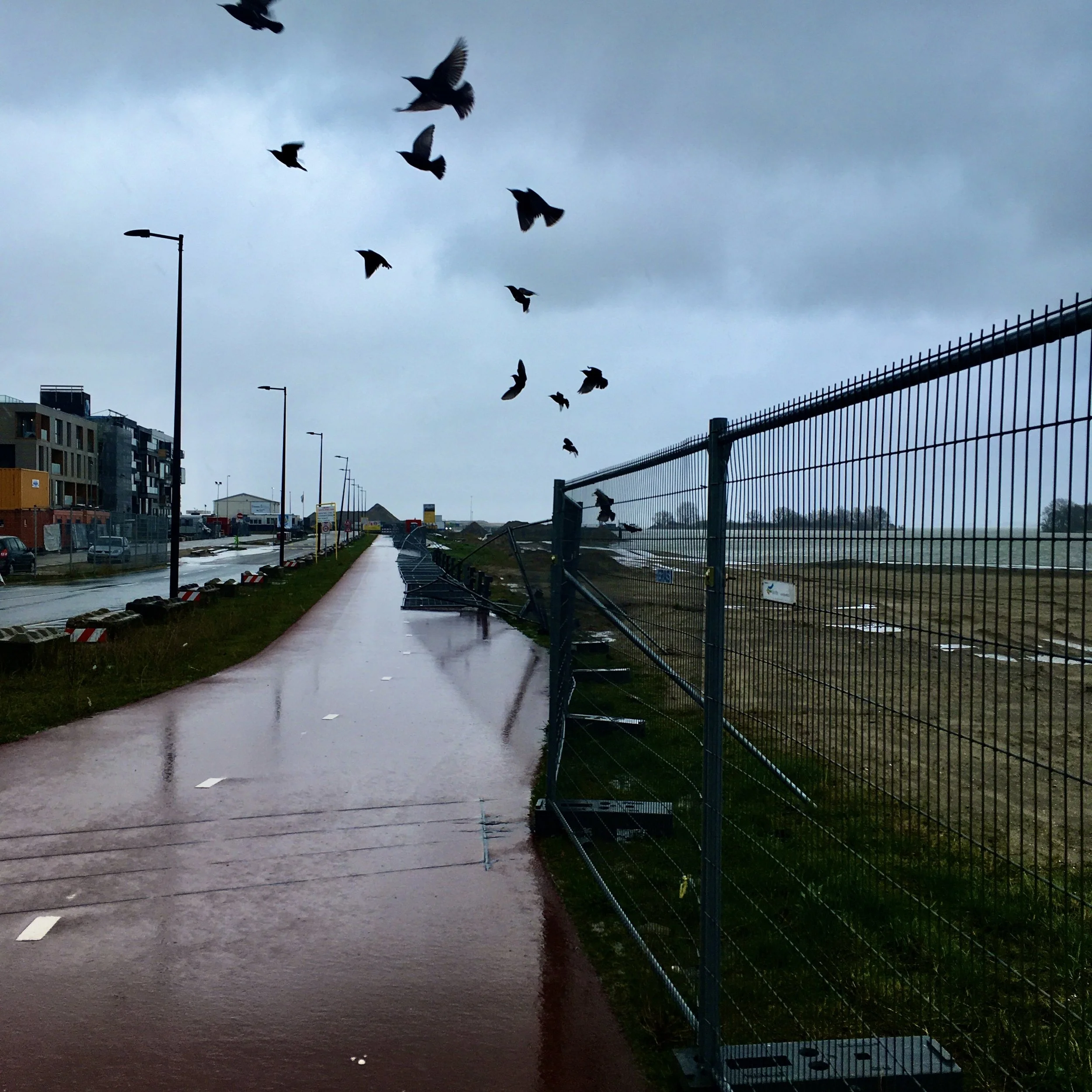 Bouwupdate 9: Warrenwaaien&nbsp;