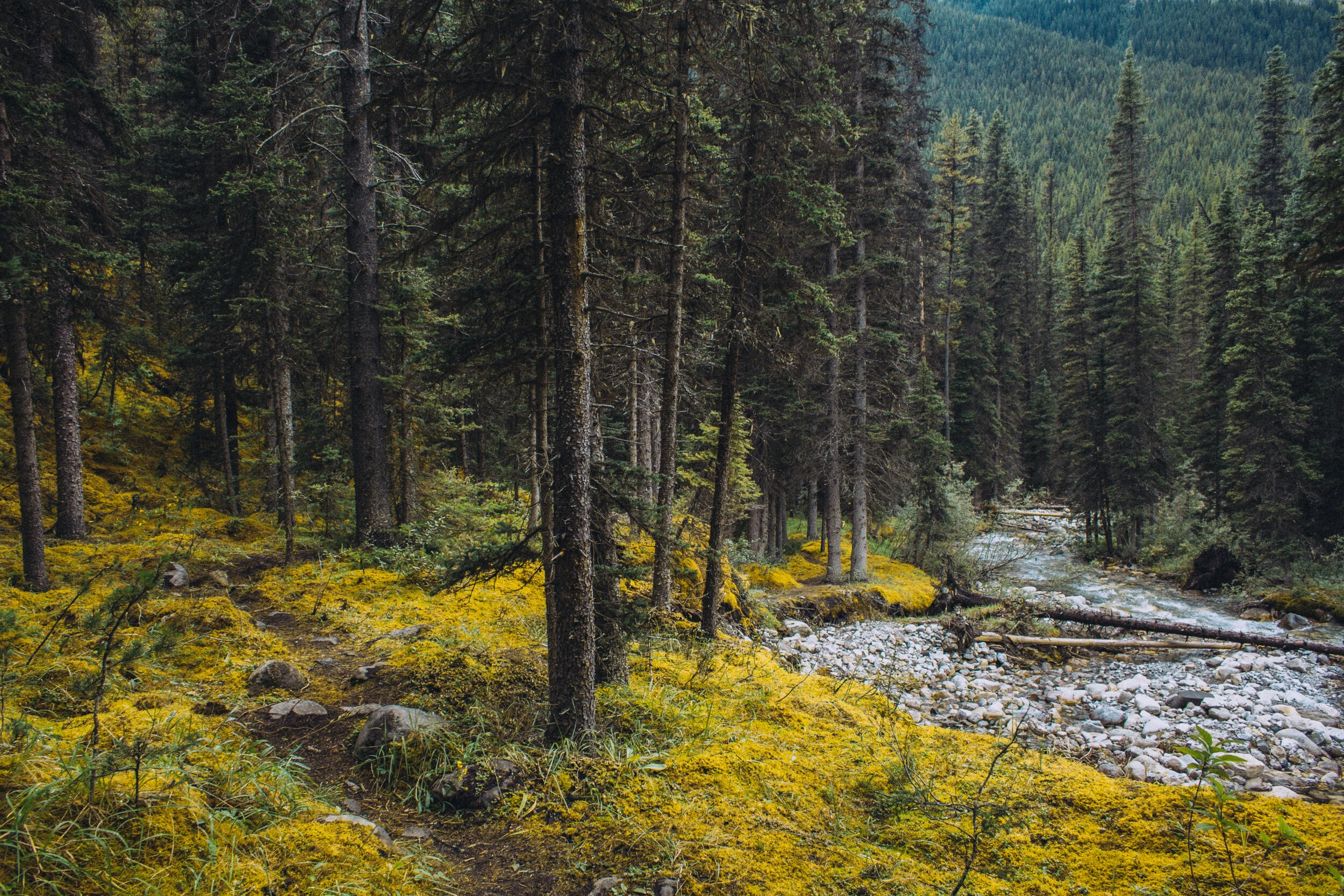 Banff 2019_115.jpg