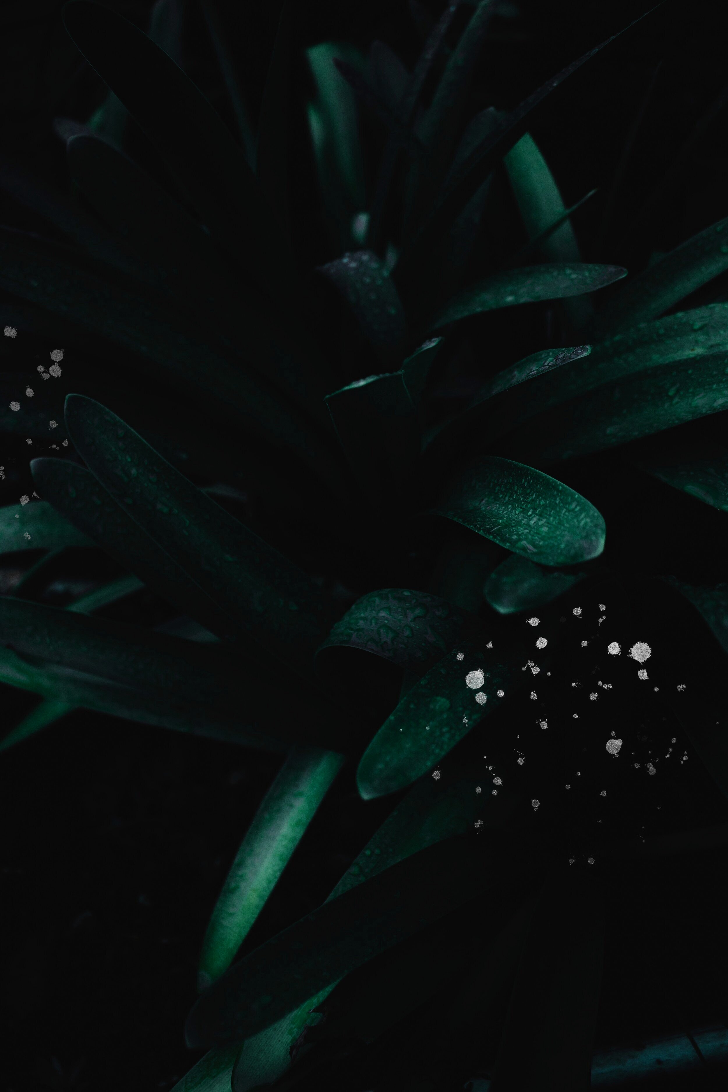 ian-espinosa-253632-unsplash%2B3.jpg