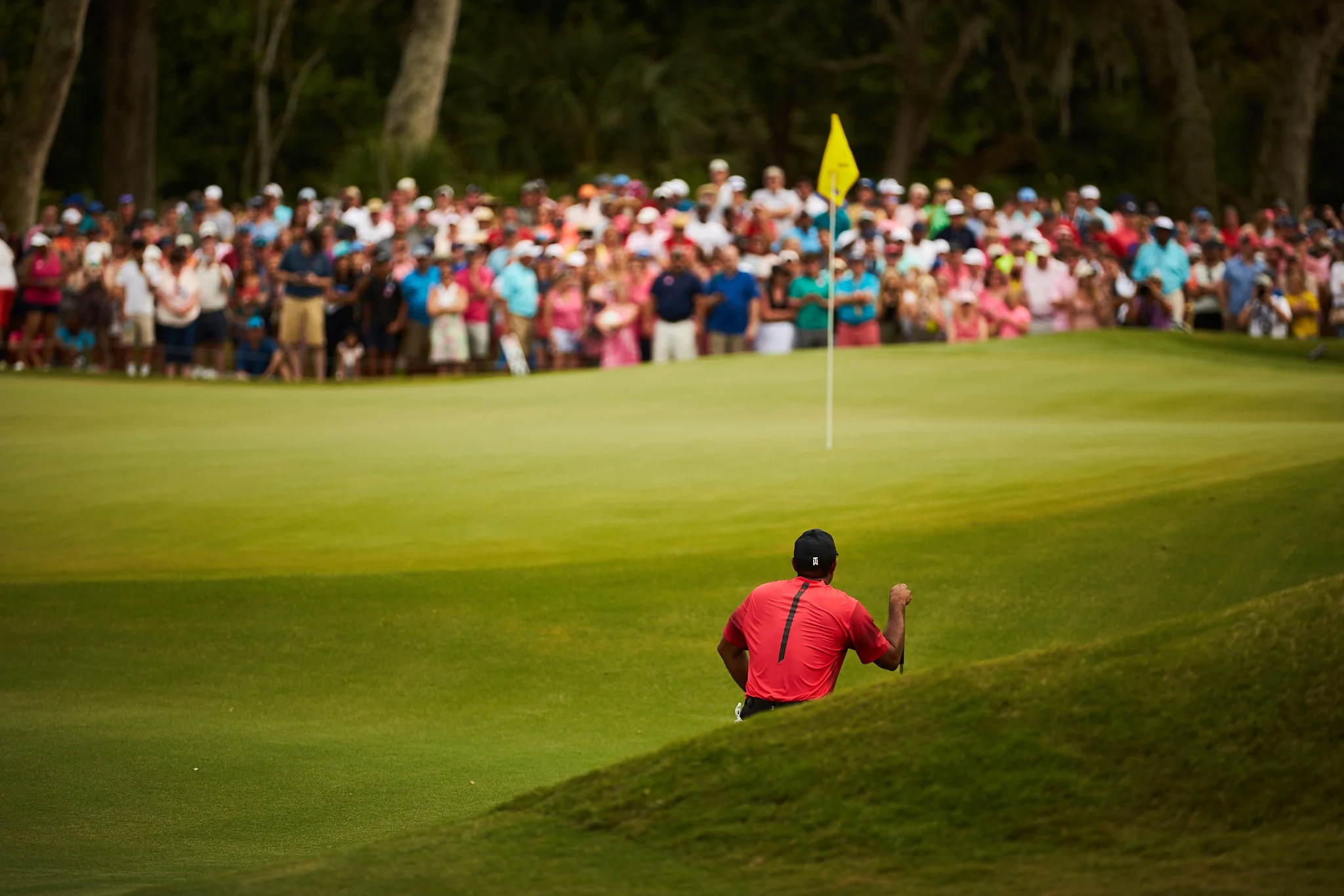 Tiger Woods, 14th green . Canon 1DX, Canon EF 70-200mm f2.8L II