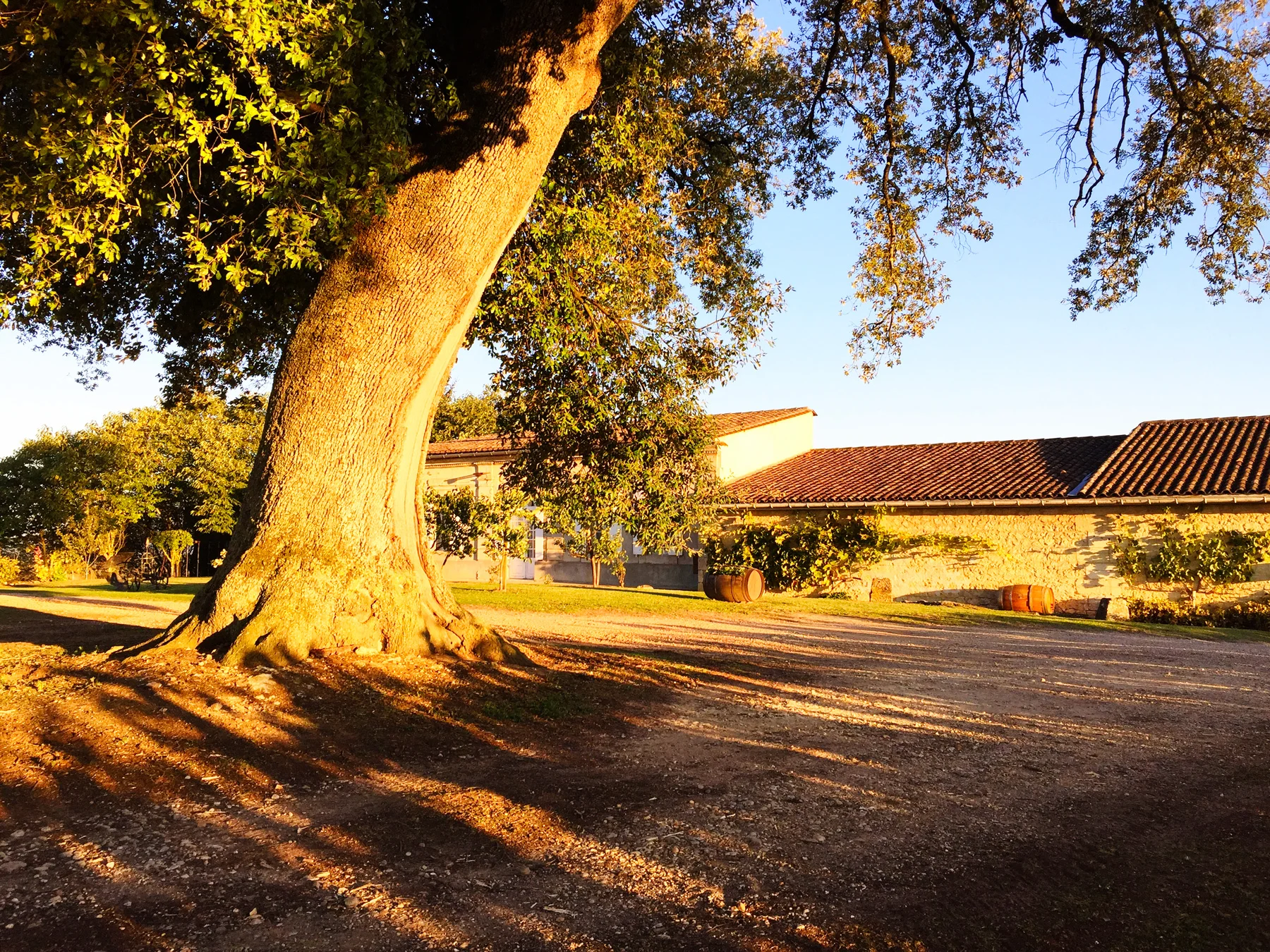 Domaine-Cht-Canon-Pécresse-3.JPG
