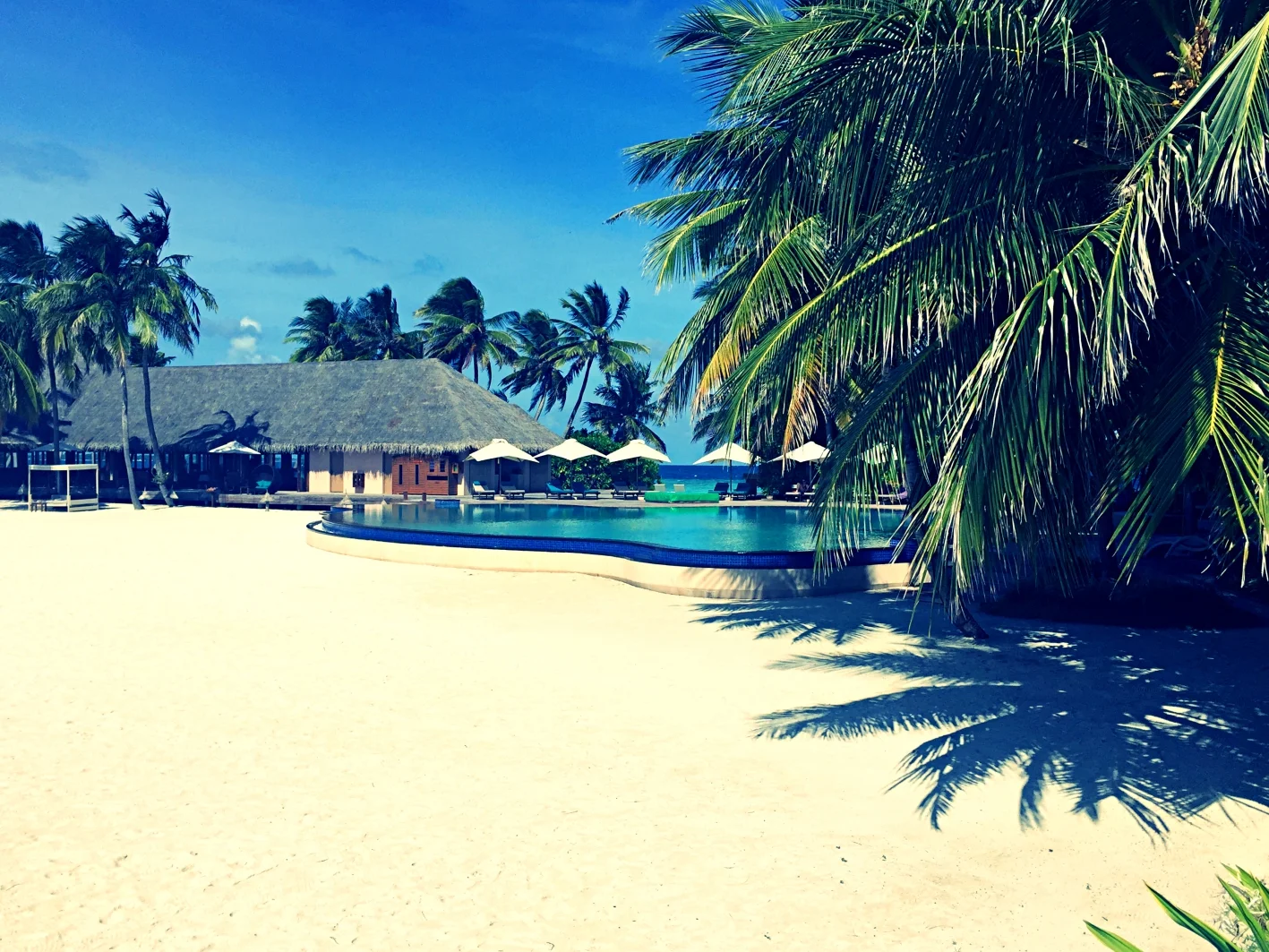 HIDDEN TRUTH ABOUT MALDIVES