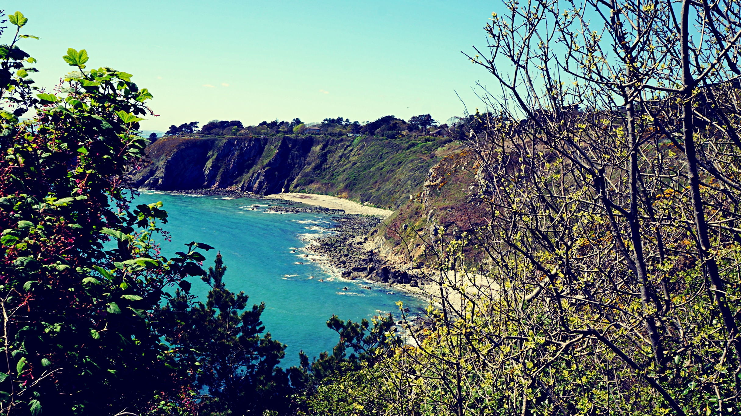 HOW TO GET TO HOWTH HEAD - DUBLIN'S BREATHTAKING CLIFFS?