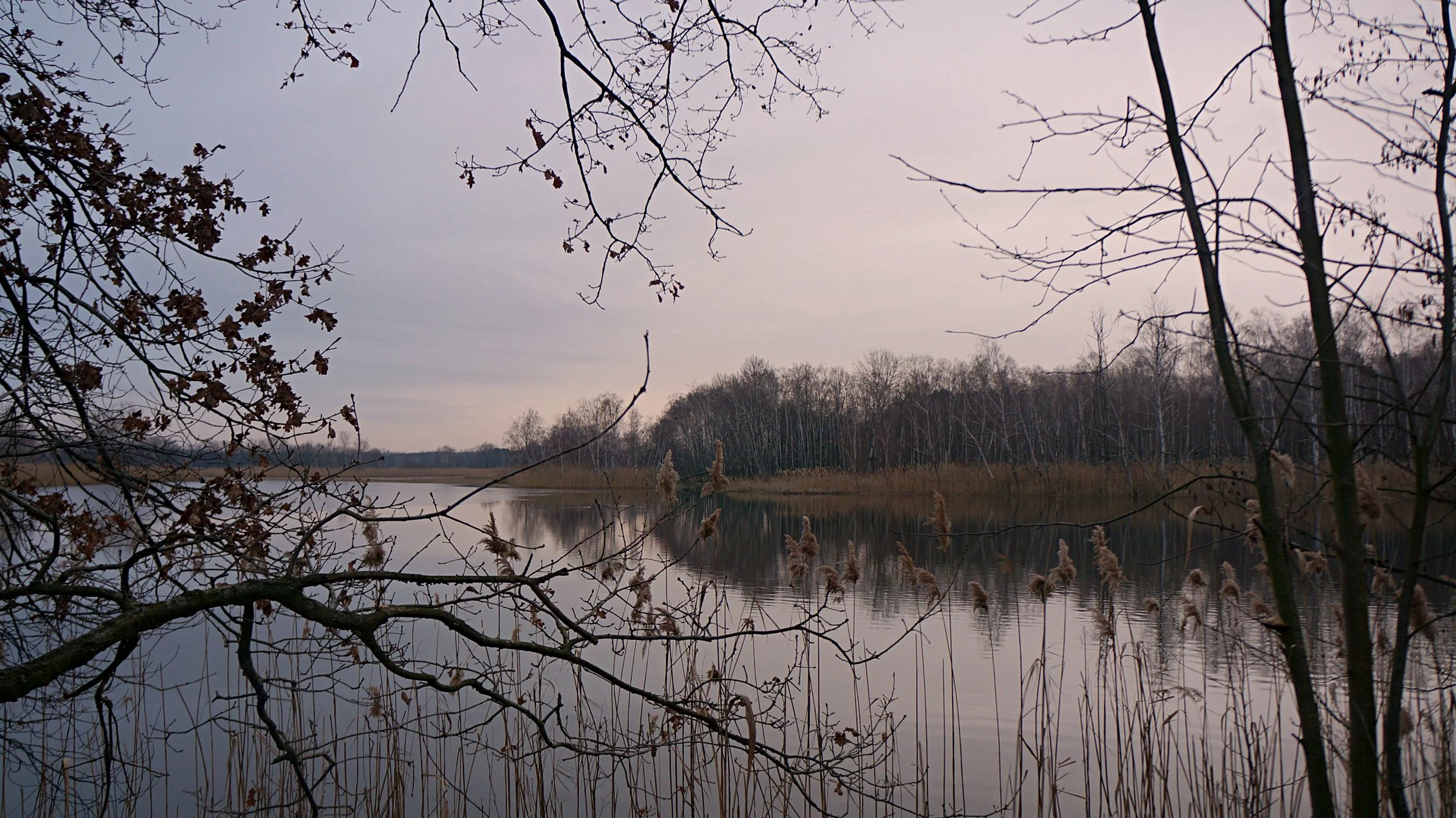 ALTERNATIVELY THROUGH POLAND: MILICZ PONDS