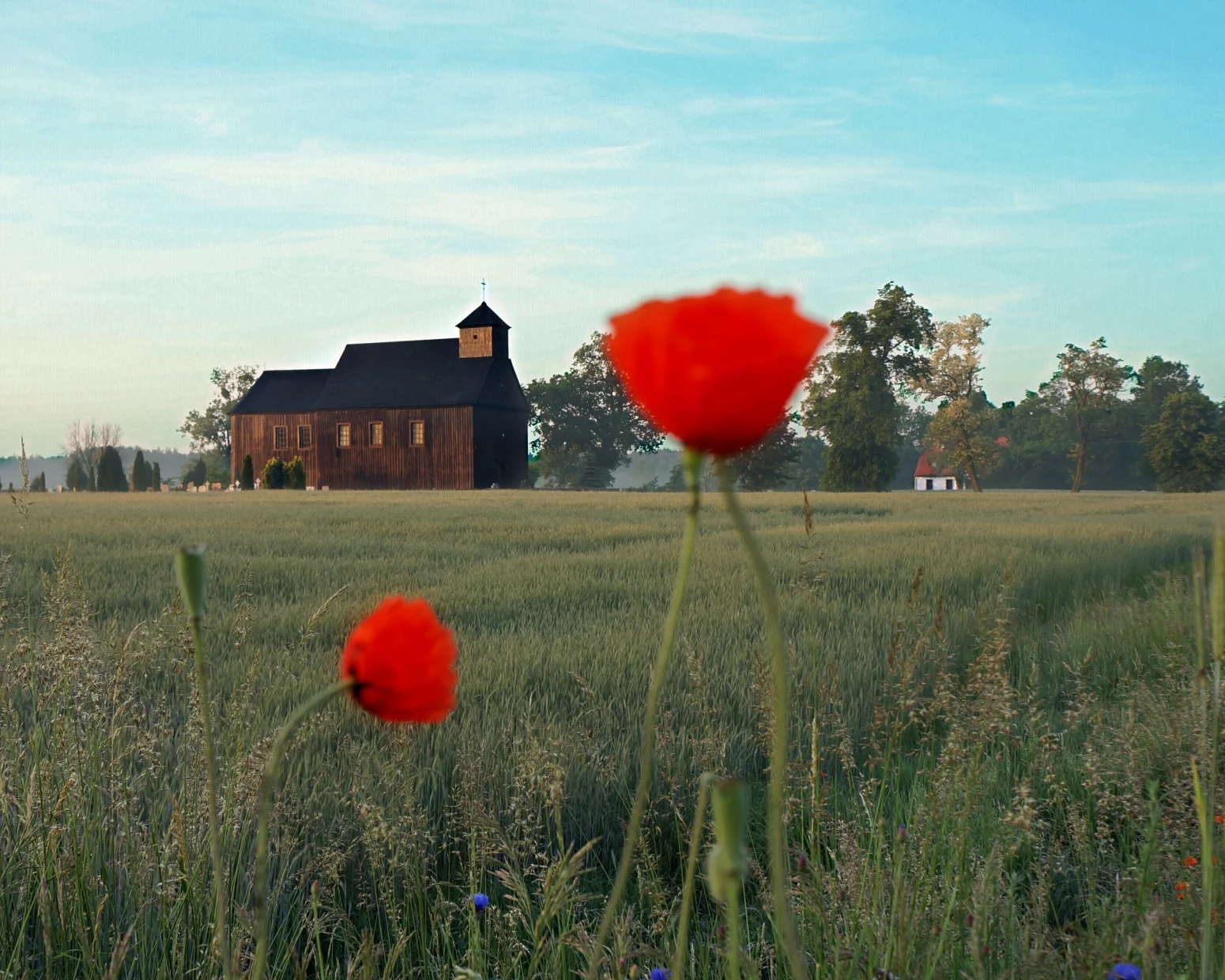 Ekologiczne podróżowanie - Czy twój urlop zanieczyszcza środowisko?