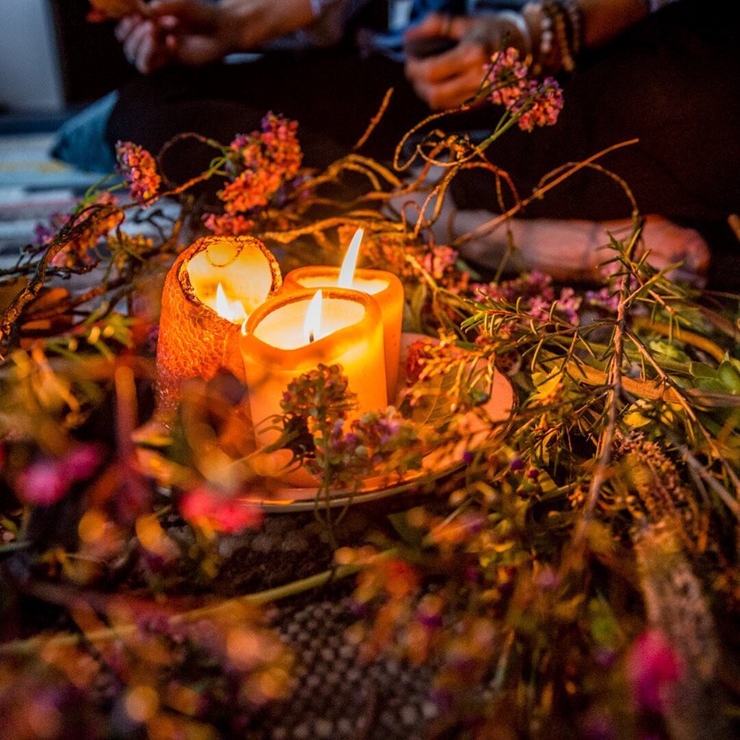 We are living in a moment of great transition. 

Whether you feel dread about what might lie ahead, outrage at what is happening to our planet, or sadness about what has already been lost - I believe that Circle can support us to gather the resilienc