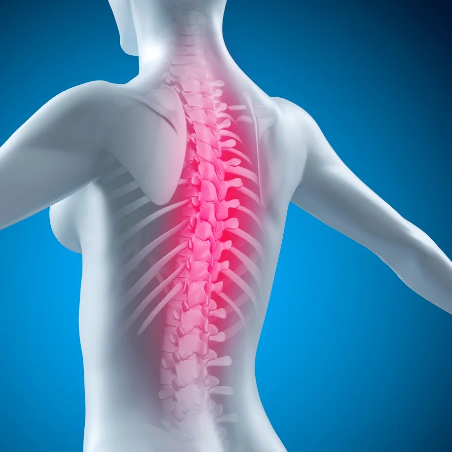 This Is Why Your Back Hurts