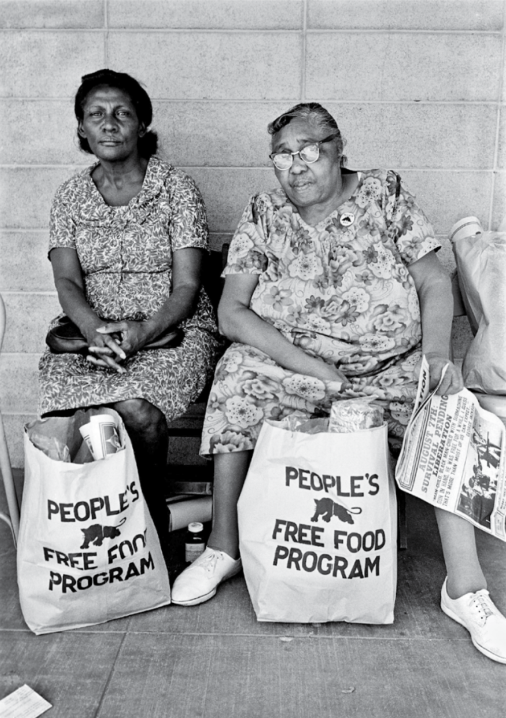 Mandalas or Raised Fists? The Revolution will be digitized (Week 1)