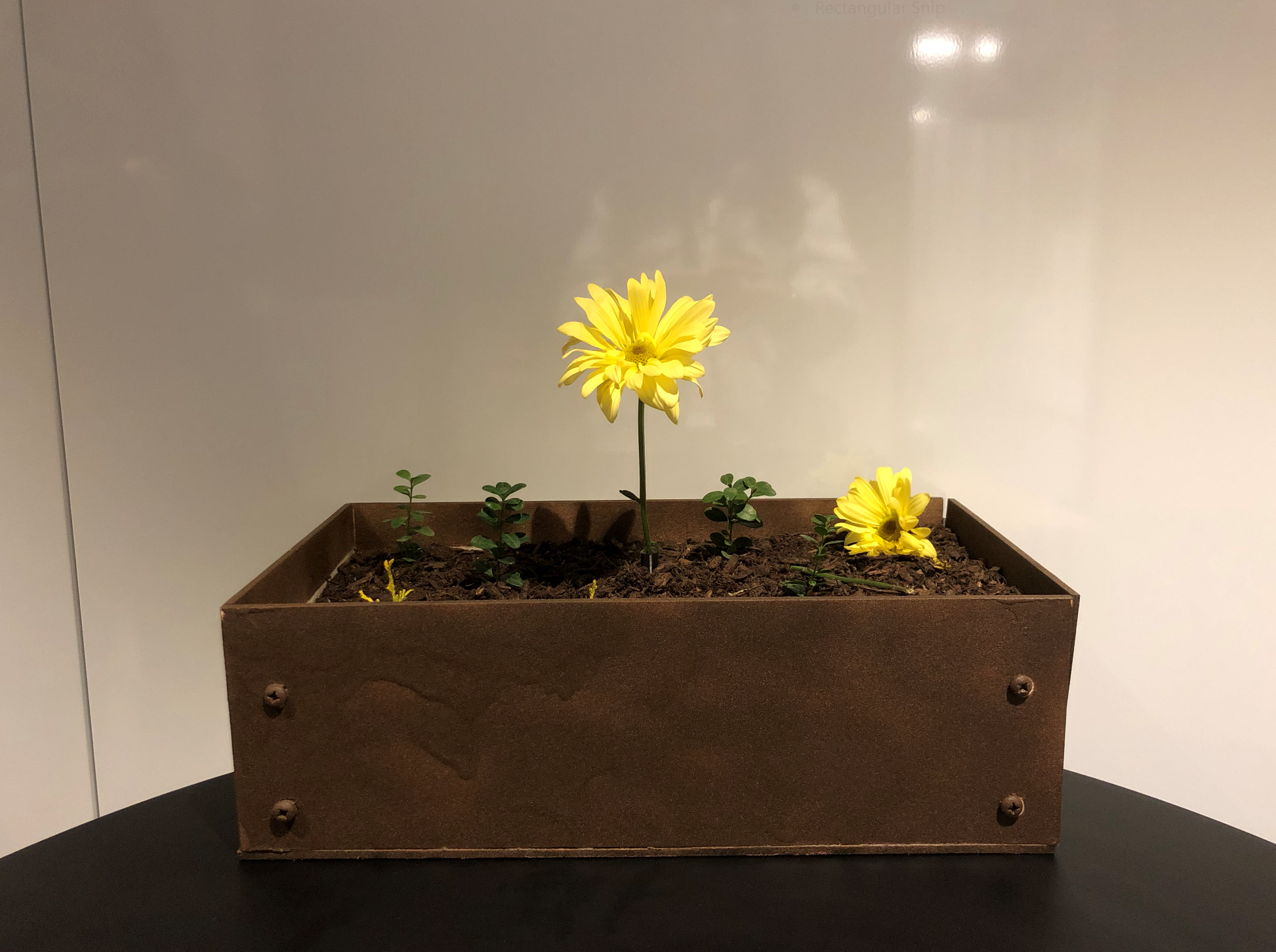 "Hey Flower": Critical Objects