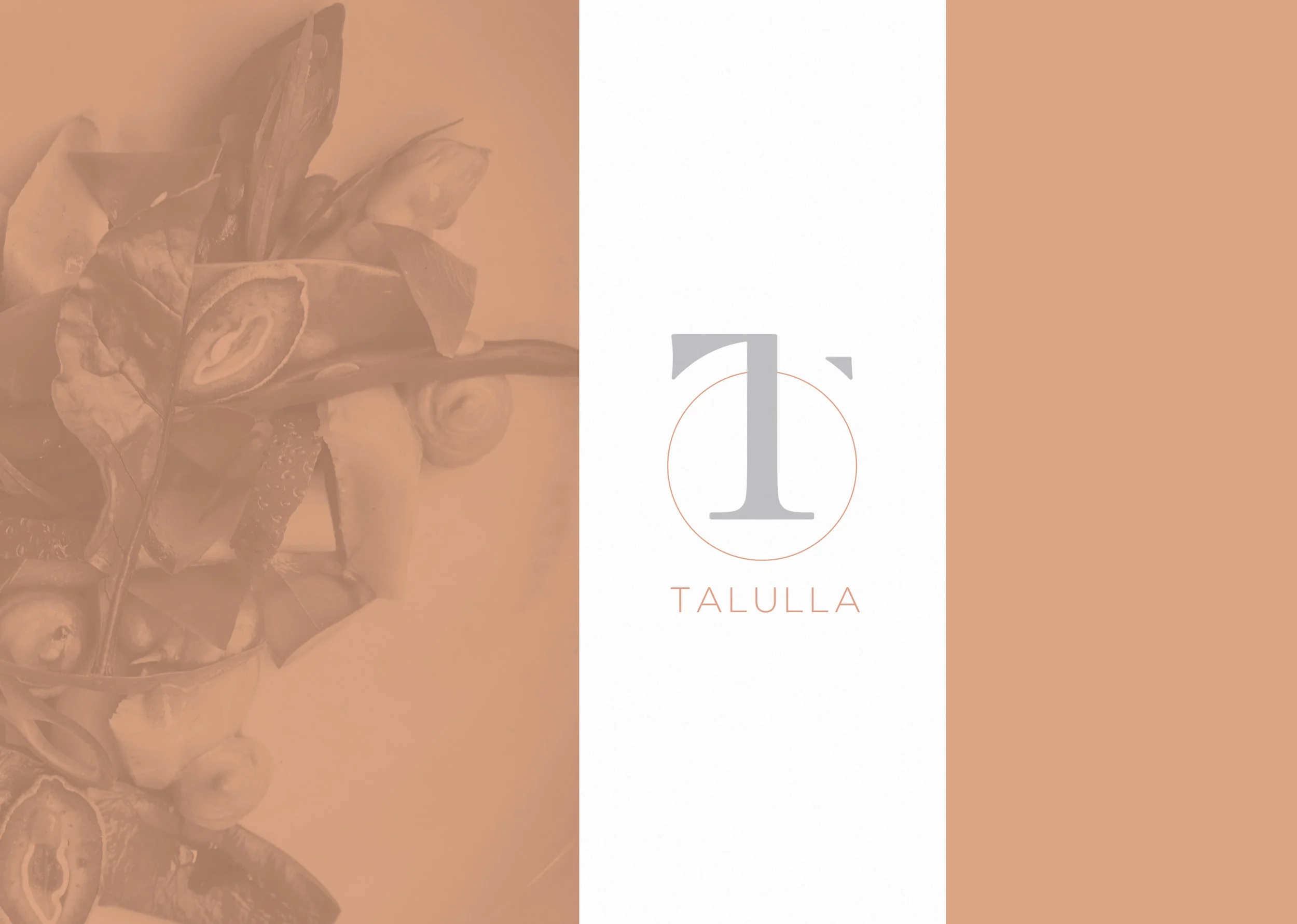 Talulla is a new restaurant coming this spring to Cambridge, Massachusetts.