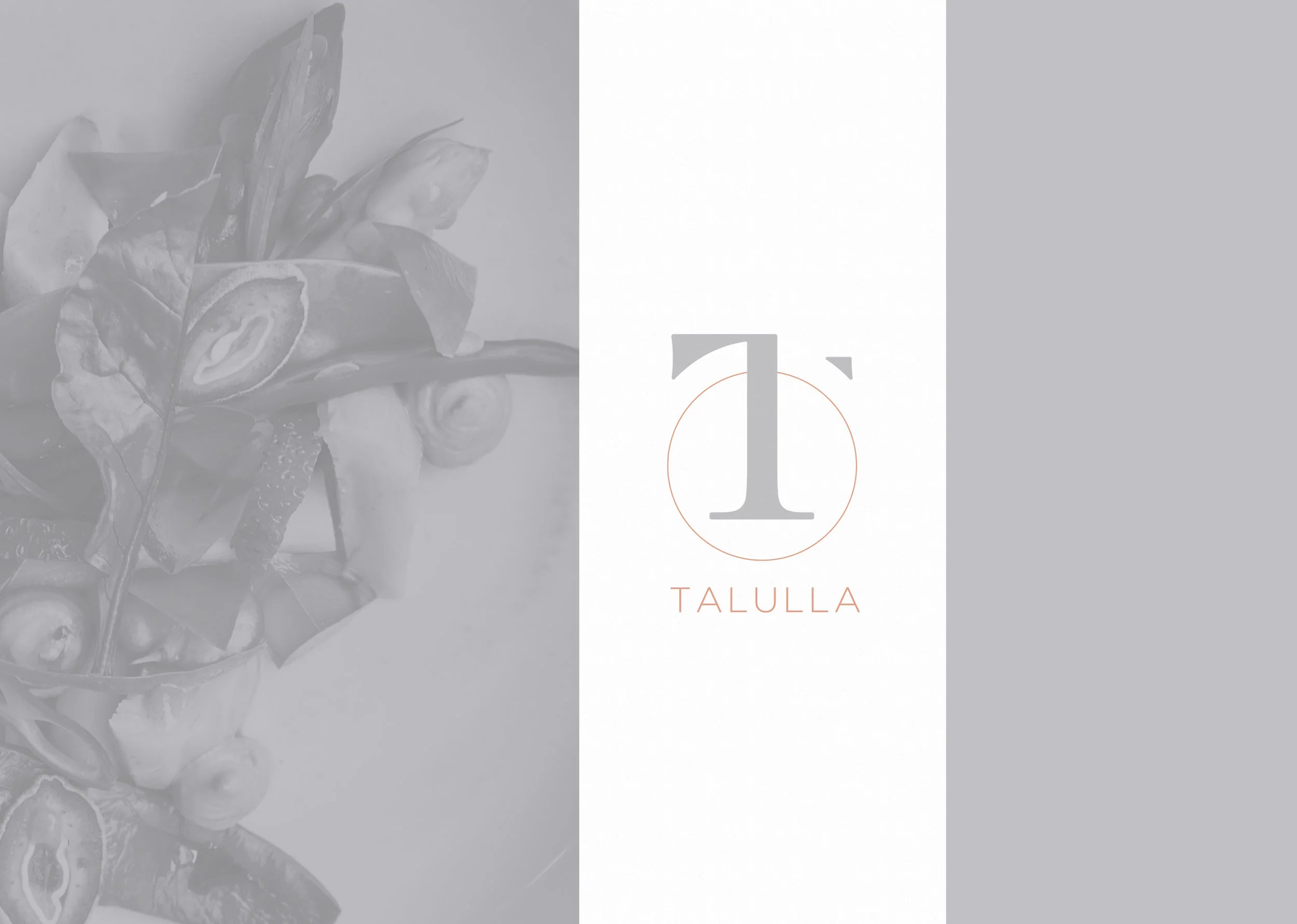 Talulla is coming this spring to Cambridge.