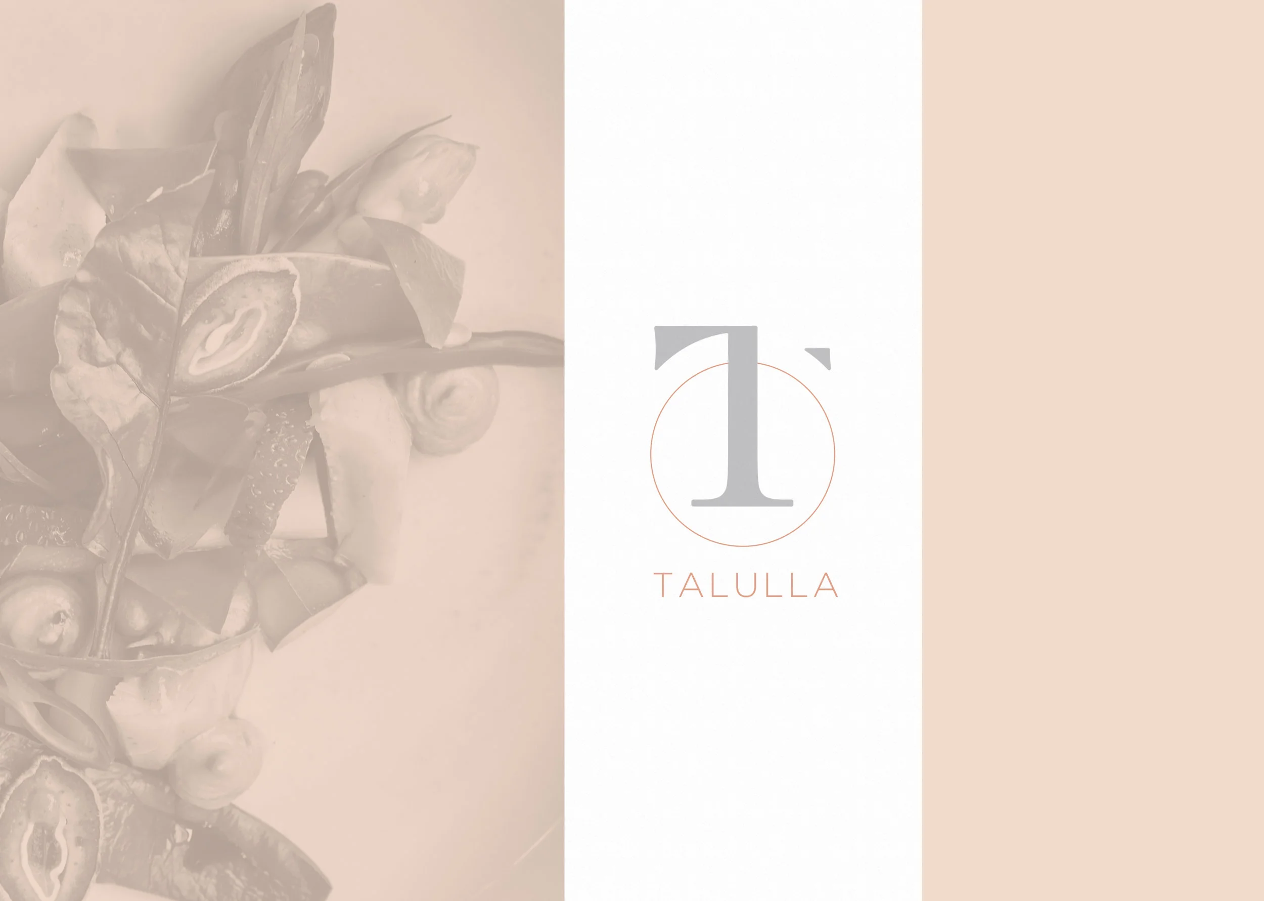 Make reservations now at the new restaurant, Talulla in Cambridge, Massachusetts.